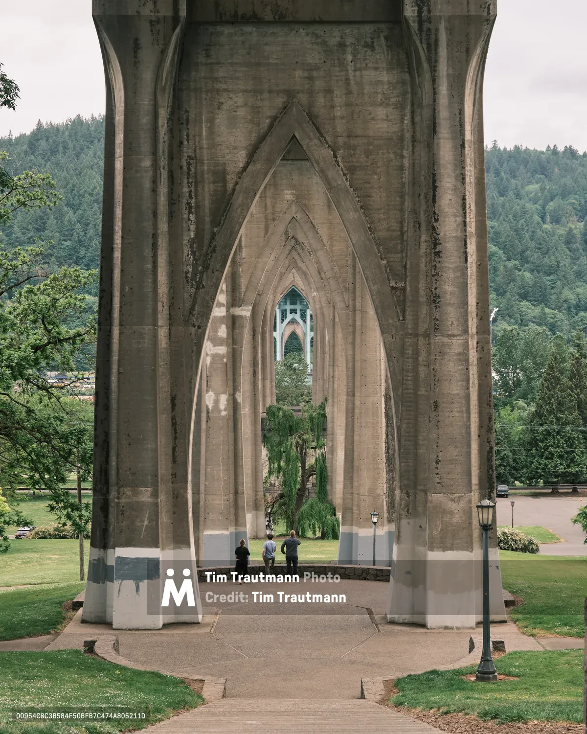 Three contemplative figures stand beneath the soaring Gothic arches of Portland's St. Johns Bridge, their silhouettes dwarfed by the weathered concrete pillars that frame Cathedral Park's verdant landscape. Afternoon light filters through the cathedral-like structure, casting gentle shadows across manicured lawns while the forested West Hills rise in the distance. The composition draws the eye through successive arches toward the Willamette River beyond, where a graceful weeping willow anchors the middle ground.