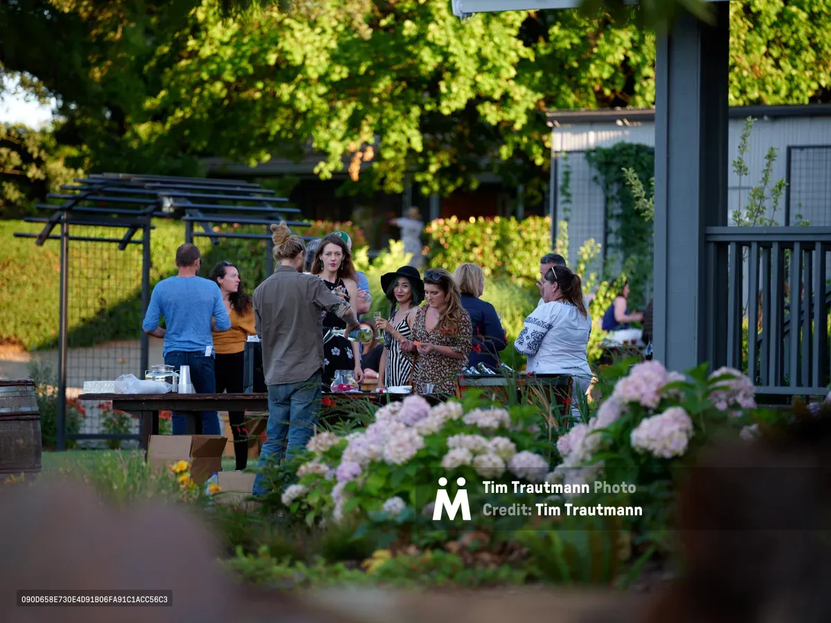 A warmly lit gathering unfolds in the gardens of Abbey Road Farm in Carlton, Oregon, as friends cluster around a rustic wooden table beneath towering leafy trees. The golden evening light filters through the canopy, casting a honeyed glow over the scene while soft pink hydrangeas bloom in the foreground. The intimate group, featuring several young women including Rhianna Atwood, mingles casually near modern farm structures, their relaxed conversation and wine glasses suggesting a leisurely vineyard visit or harvest celebration.