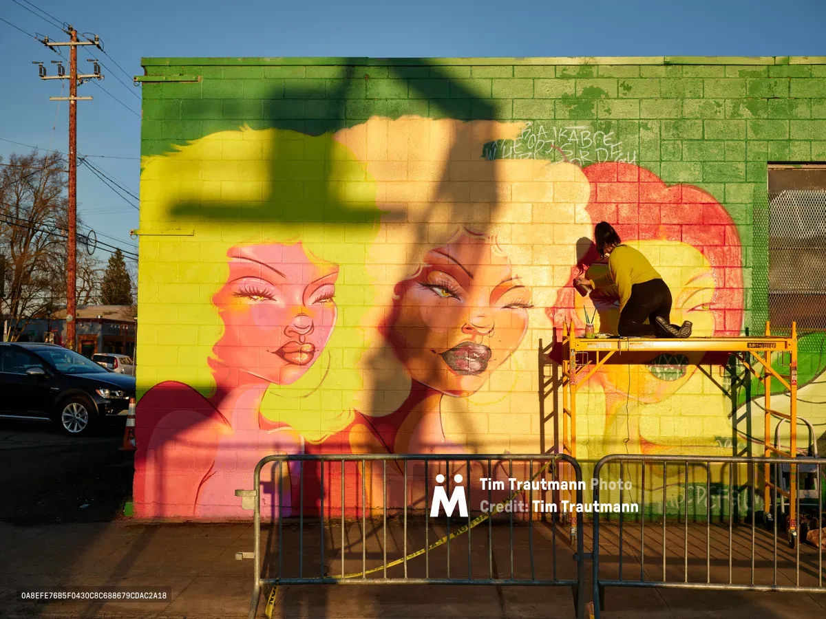 Multidisciplinary artist Villatose works from a scaffolding platform, adding finishing touches to 'Jardín Cubana,' a bold street mural featuring three women with flowing blonde hair rendered in brilliant yellows, oranges, and greens. The large-scale artwork dominates the concrete block wall on Northeast Alberta Street in Portland's historic Alberta Arts District, while golden hour light bathes the scene in warm, atmospheric tones. Safety barriers and urban infrastructure frame the creative process, capturing the intersection of art and community revitalization.
