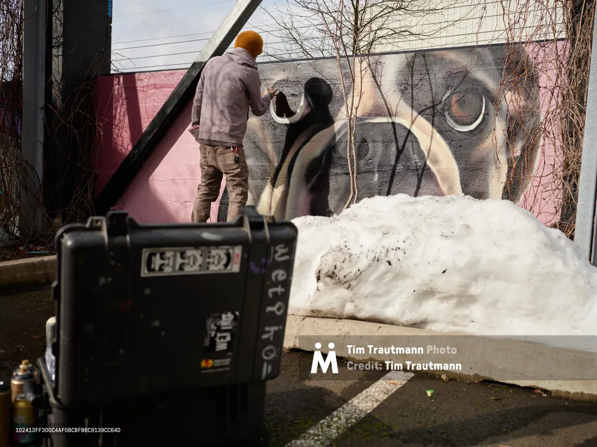 Muralist Wetiko, wearing a distinctive orange beanie and earth-toned work clothes, applies spray paint to a large-scale elephant portrait on an exterior wall in Portland's Hosford-Abernethy neighborhood. The dramatic black and white mural features piercing elephant eyes that dominate the composition, while winter's bare branches cast intricate shadows across the scene. A professional camera setup in the foreground documents the creative process, capturing both the artist's concentrated effort and the emerging wildlife artwork against the backdrop of Southeast Portland's creative district.