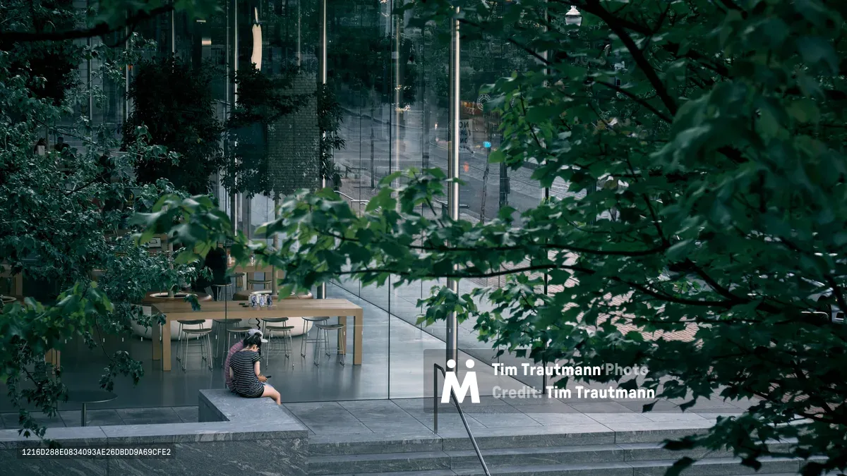 Through a natural veil of summer foliage, figures sit absorbed in their device on the sleek concrete steps of Apple's Pioneer Place store in downtown Portland. The scene captures the juxtaposition between organic nature and digital technology, as verdant maple leaves frame the modern glass-and-steel architecture. Warm afternoon light filters through the canopy, creating dappled shadows that soften the stark minimalism of the retail space's interior, where blonde wood tables and contemporary seating await customers.