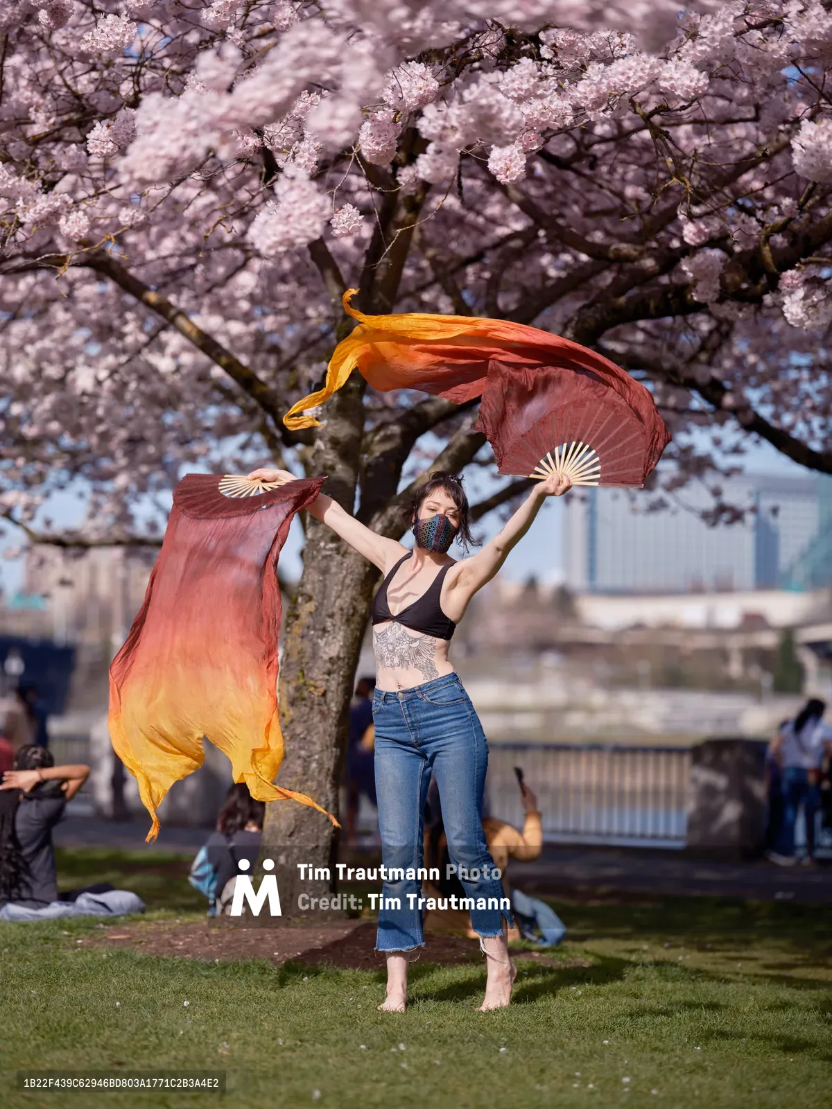 A performer with flowing silk fans dances gracefully beneath a canopy of pale pink cherry blossoms at Tom McCall Waterfront Park in Portland, Oregon. The dancer, wearing a black crop top, distressed jeans, and face mask, creates fluid motion with gradient orange-to-burgundy silk fans that catch the soft spring light. Behind her, the historic branches of mature cherry trees frame the scene while parkgoers relax on the grass, creating an intimate moment of artistry against the backdrop of Portland's downtown skyline.