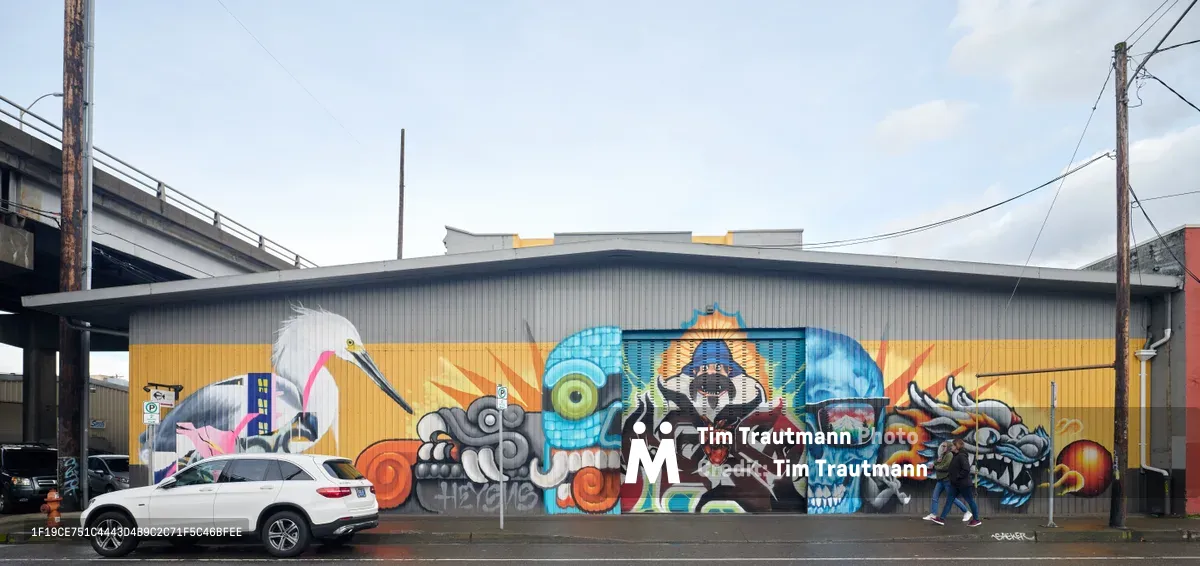 A vibrant street art mural sprawls across the corrugated metal facade of an industrial warehouse in Portland's Central Eastside district, commissioned by the Portland Street Art Alliance. The explosive composition features a white egret, skulls, abstract geometric forms, and mythological creatures rendered in bold oranges, blues, and electric hues against an overcast Pacific Northwest sky. A white SUV sits parked beneath the towering artwork while a solitary pedestrian walks past, dwarfed by the monumental scale of the urban canvas. Power lines and concrete infrastructure frame the scene, creating a stark contrast between raw industrial architecture and exuberant artistic expression.