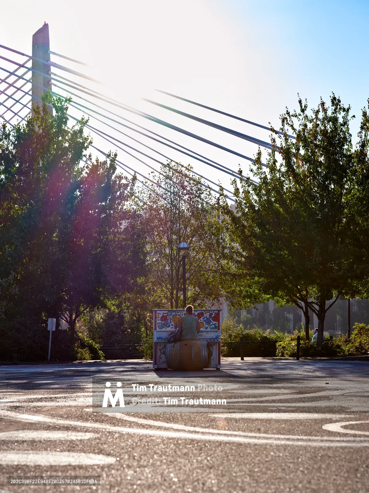 A solitary figure rests beside a vibrant public piano in Portland's Hosford-Abernethy neighborhood, silhouetted against the geometric elegance of Tilikum Crossing's cable-stayed bridge. Golden hour light streams through mature trees, casting dramatic lens flares while creating zebra-striped shadows across the weathered pavement. This intimate scene captures the essence of Portland's Piano Push Play initiative, where discarded instruments find new life as community gathering points beneath the city's modern infrastructure.