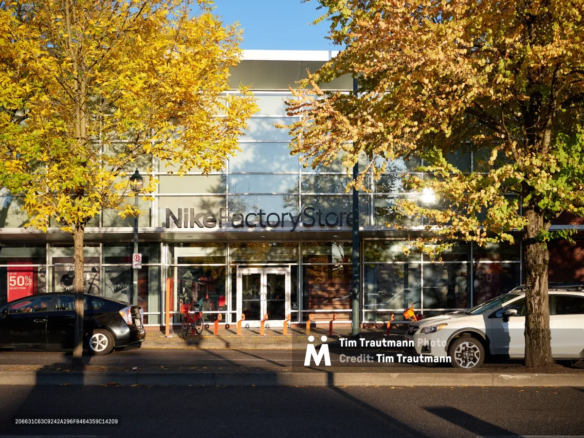Warm afternoon sunlight filters through a canopy of golden autumn trees, casting dappled shadows across the glass facade of the Nike Factory Store in Portland, Oregon. The seasonal foliage frames the contemporary retail architecture, creating a harmonious blend of natural beauty and brand commerce. Parked cars line the quiet street as fallen leaves carpet the sidewalk beneath the glowing canopy.