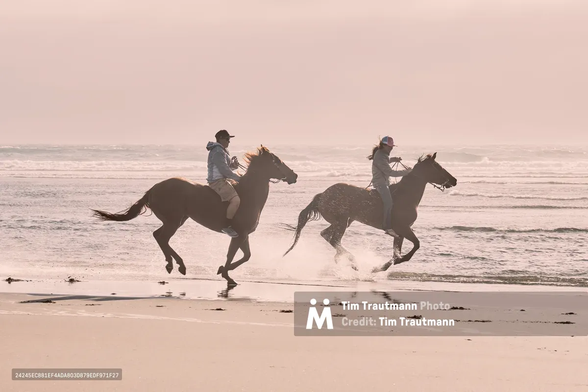 Two riders silhouetted against the rose-tinted twilight sky thunder across the pristine sands of Wheeler Beach, their horses' hooves carving fleeting impressions in the wet shoreline as Pacific waves retreat. The atmospheric light bathes the Oregon coastline in warm, dusky hues, transforming the evening ride into a cinematic moment of freedom and movement. Sea spray kicks up behind the galloping horses as they race parallel to the endless horizon, their forms rendered as dramatic shadows against the luminous sky.