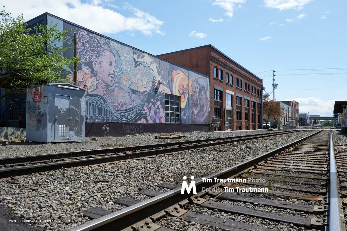 Steel railway tracks stretch into the distance through Portland's industrial Buckman neighborhood, flanked by weathered brick buildings adorned with vibrant street murals. The elaborate artwork depicts flowing figures and ornate patterns in rich purples, oranges, and earth tones, creating a striking contrast against the utilitarian infrastructure. Afternoon light illuminates the scene under a partly cloudy sky, while fresh spring foliage frames the urban tableau where transportation corridors intersect with public art.