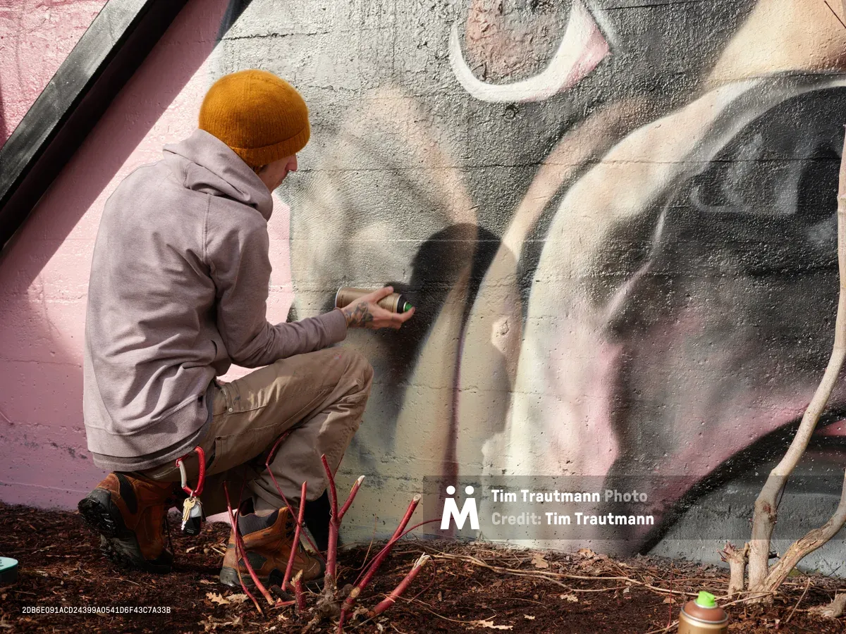 Muralist Wetiko crouches at ground level, spray can in hand, adding delicate details to a large-scale wall mural at Clay Creative in Portland's Hosford-Abernethy neighborhood. The artist, wearing a golden mustard beanie and grey hoodie, works with focused concentration against the textured concrete surface painted in soft pinks and grays. Red-stemmed plants emerge from the mulched ground below, while warm afternoon light illuminates both the artist's shadow and the evolving artwork.