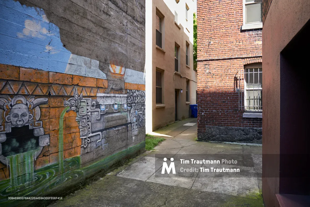 A narrow alley in Portland's Central Eastside reveals the city's vibrant street art culture, where intricate murals featuring indigenous-inspired designs and geometric patterns transform weathered brick walls into outdoor galleries. The composition frames the intimate urban canyon between mixed-use buildings, where cream-colored contemporary architecture meets traditional red brick structures. Soft daylight illuminates the textured surfaces, highlighting the contrast between the artistic expression on the left wall and the utilitarian architecture that defines this revitalized industrial district.