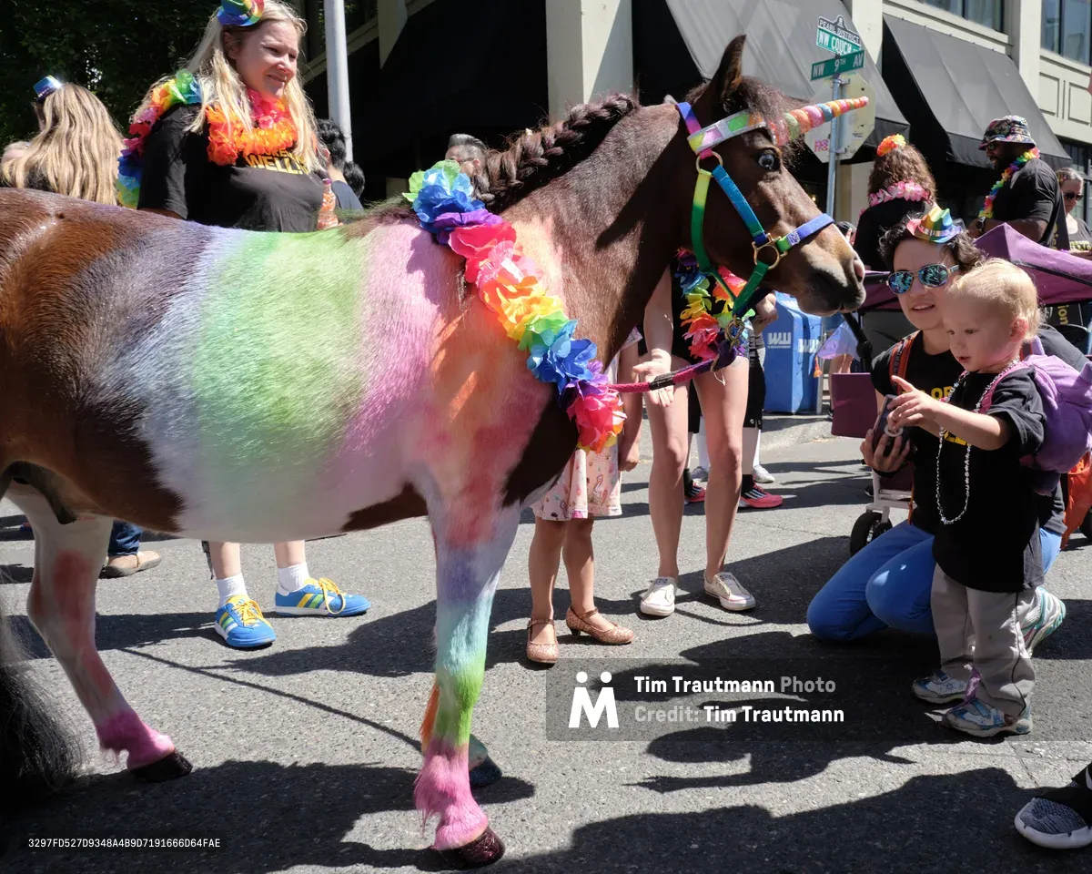 A miniature horse transformed into a living unicorn enchants the Pearl District during Portland's 2019 Pride Parade. The bay-colored pony sports a spectacular rainbow paint job across its coat, complemented by a rainbow lei garland and striped horn, while curious onlookers in Pride attire gather around this whimsical centerpiece. Bright summer sunlight illuminates the festive scene on Northwest 9th Avenue, where adults and children alike marvel at this creative celebration of LGBTQ+ pride and community spirit.