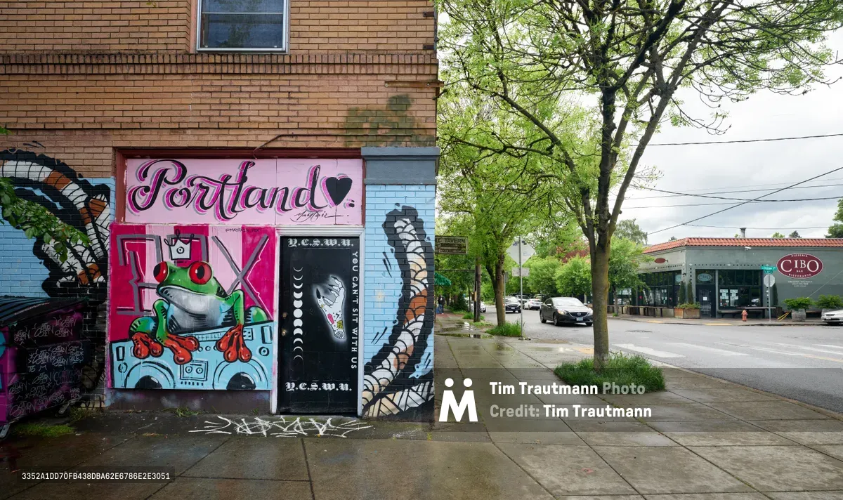 Vibrant murals blanket the brick facade of the former Oregon Theater site on Southeast Division Street in Portland's Richmond neighborhood. The eclectic street art features a whimsical green frog character amid colorful geometric patterns, crowned by flowing script reading 'Portland' in pink lettering. Spring foliage from mature street trees creates a natural canopy over the wet sidewalk, while the overcast Pacific Northwest sky bathes the scene in soft, diffused light.
