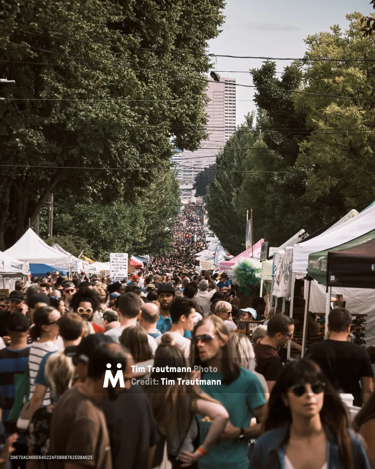 A dense sea of festival-goers flows down Portland's North Mississippi Avenue beneath a canopy of mature street trees, their summer foliage filtering warm afternoon light. White vendor tents line both sides of the closed street, creating a bustling marketplace atmosphere as hundreds of people navigate the crowded thoroughfare. The urban landscape beyond reveals Portland's distinctive skyline through the green corridor, while the crowd's casual summer attire and relaxed energy capture the quintessential Pacific Northwest community gathering.