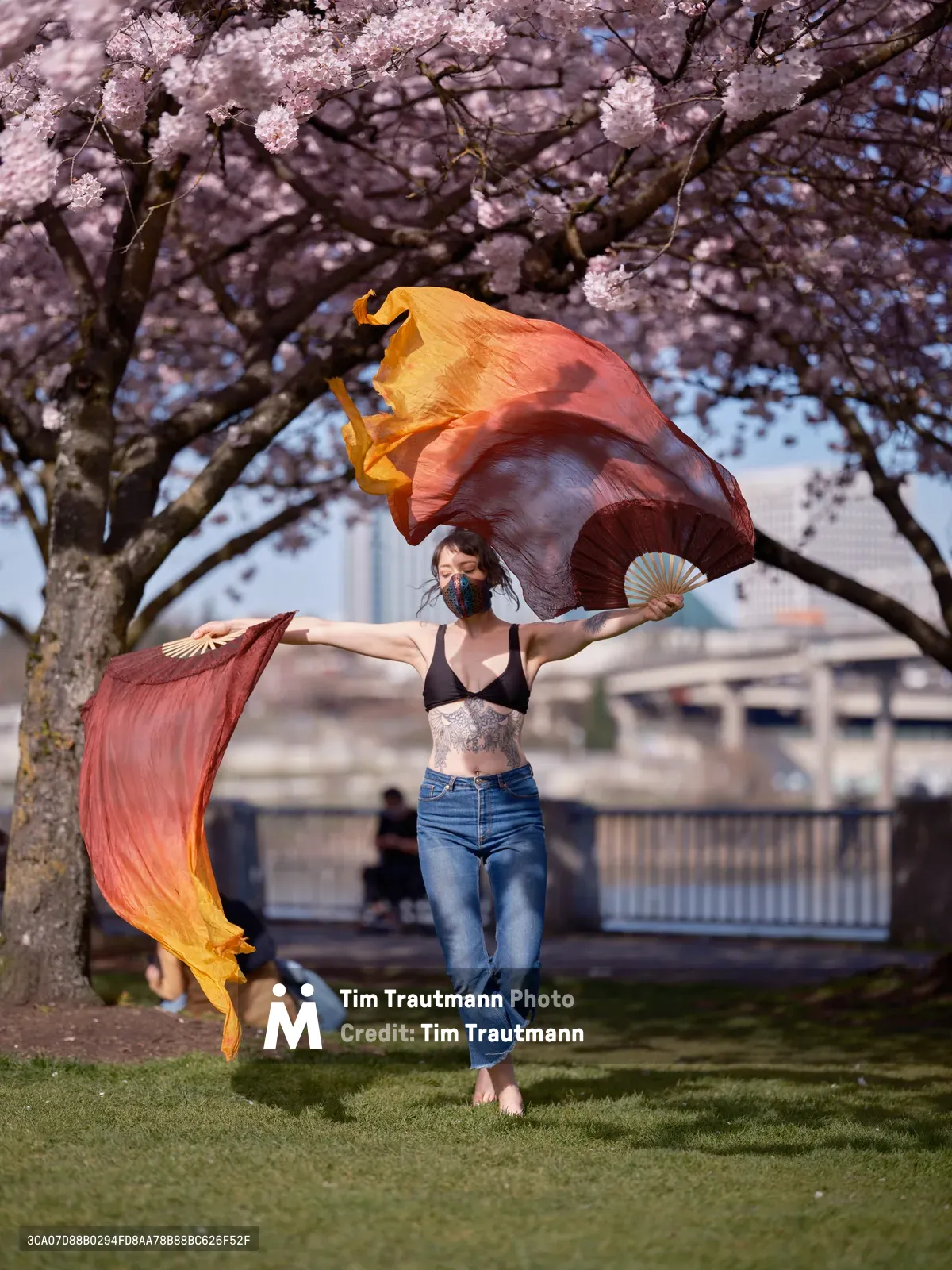 A performer moves gracefully beneath the blooming cherry trees at Tom McCall Waterfront Park in Portland's Old Town district, her gradient silk fans creating flowing arcs of amber and coral against the pale pink sakura canopy. The masked dancer, dressed in casual jeans and bikini top with visible tattoos, embodies the intersection of contemporary street performance and traditional Asian dance forms. Urban architecture frames the distant background while dappled spring light filters through the delicate blossoms, capturing a moment where art, nature, and city life converge in Portland's historic Skidmore district.