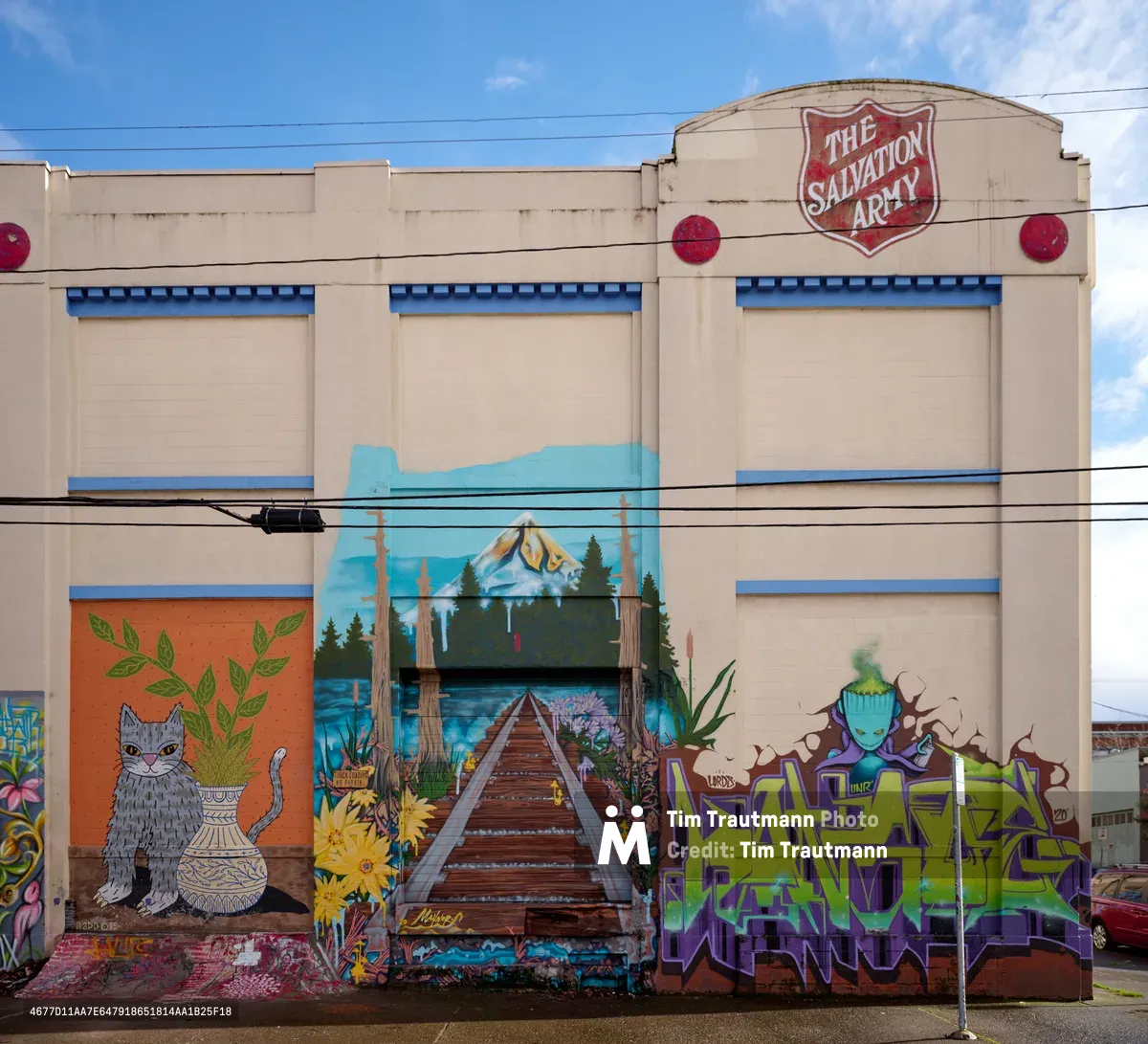 Vibrant street art adorns the weathered beige facade of a former Salvation Army warehouse in Portland's Central Eastside district. The commissioned murals create a striking narrative across the building's lower level, featuring a whimsical gray cat among botanical elements, a wooden pier stretching toward distant mountains, and bold graffiti-style lettering in electric green and purple. Power lines slice horizontally through the frame against a backdrop of azure sky and drifting clouds, emphasizing the gritty urban transformation of this industrial neighborhood.