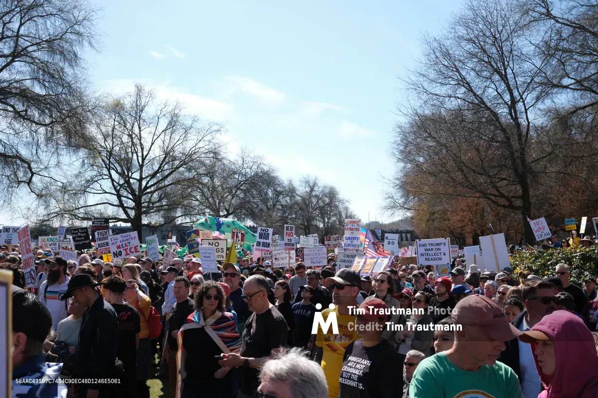 Hundreds of demonstrators gather beneath the bare winter branches of Portland's Old Town Historic District, their handmade signs creating a mosaic of political dissent against the pale afternoon sky. The crowd stretches across Southwest Ankeny Street, faces animated in passionate discourse as colorful protest signs bearing messages like 'No TCE' and 'End Trump's War on Intellect' rise above the sea of winter clothing. Sunlight filters through the leafless canopy, casting dappled shadows over this moment of civic engagement in the heart of Chinatown.