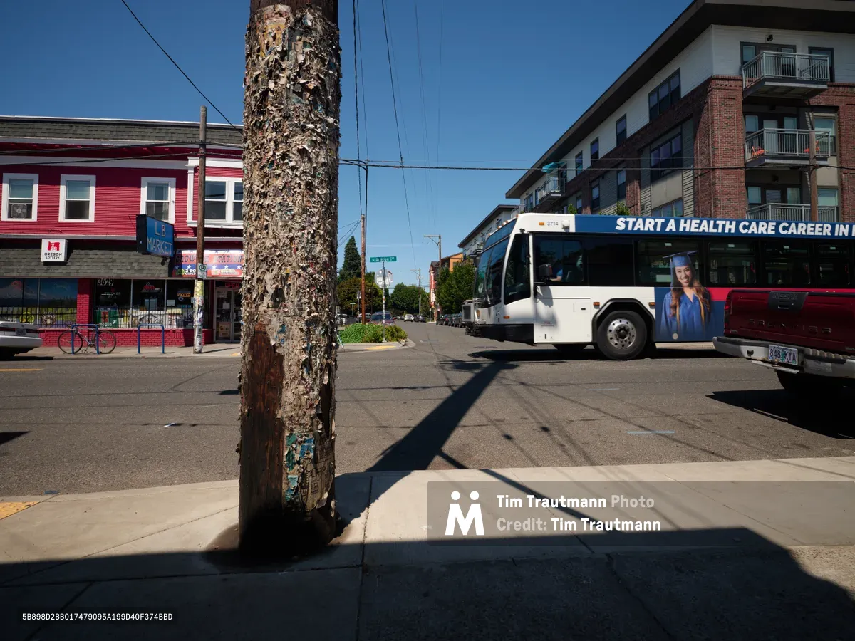 A weathered utility pole on Southeast Division Street serves as an urban canvas, its surface layered with the ghostly remnants of countless promotional posters. The textured bark of accumulated paper and adhesive creates an archaeological record of neighborhood commerce, while a public transit bus and red brick buildings frame this intersection of transient advertising and permanent infrastructure. Sharp afternoon shadows cast dramatic lines across the concrete sidewalk, emphasizing the temporal nature of street-level marketing in Portland's Richmond district.