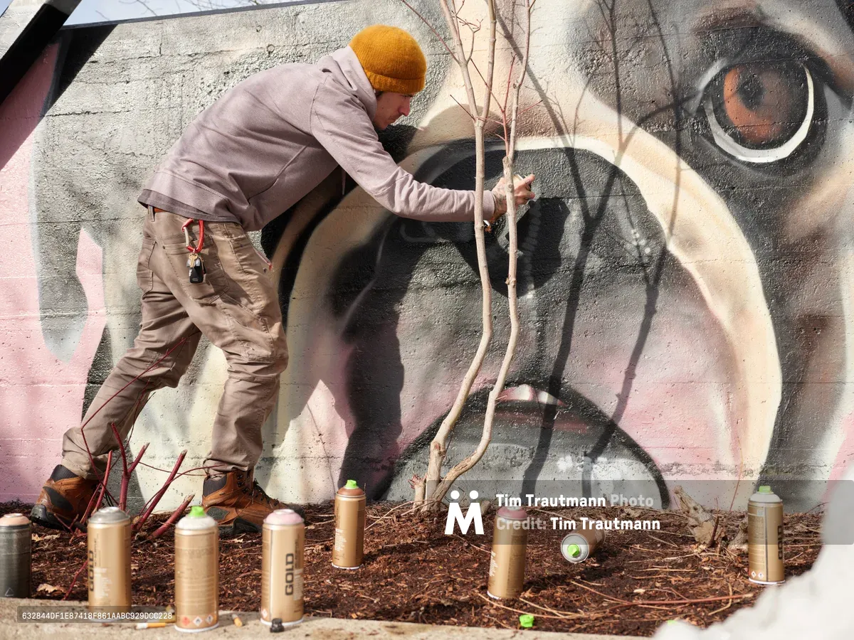 Artist Wetiko, wearing a golden knit beanie and tan work clothes, carefully tends to a small sapling planted in front of his vibrant mural in Portland's Hosford-Abernethy neighborhood. The dramatic elephant portrait rendered in soft grays and flesh tones dominates the concrete wall behind him, while an array of spray paint cans scattered in the mulch below reveals the tools of his craft. The juxtaposition of living growth against permanent art speaks to themes of renewal and creative cultivation in the urban landscape.