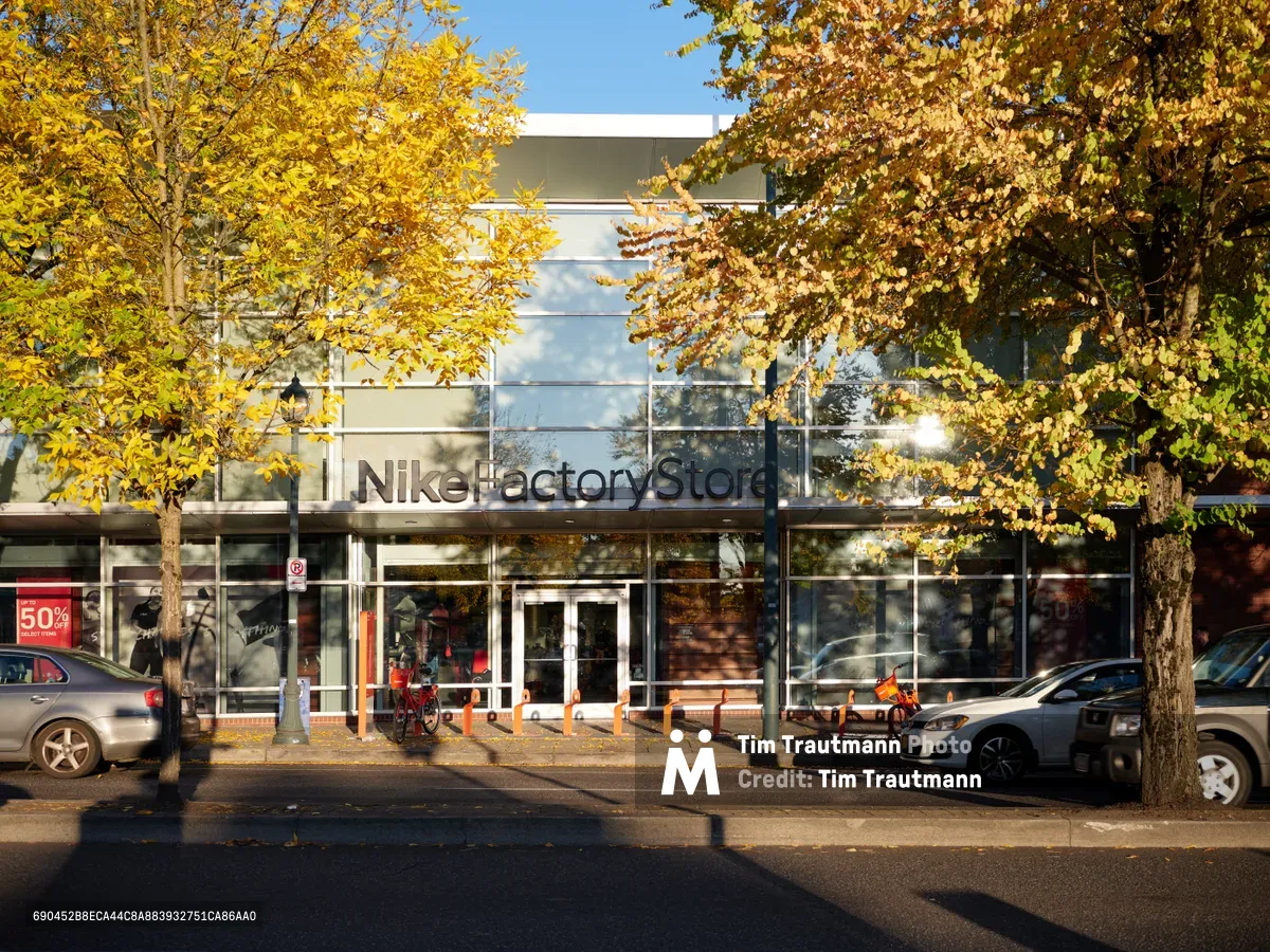 Golden autumn foliage frames the Nike Factory Store in Portland, where mature trees display their seasonal transformation in brilliant yellows and browns. The glass-fronted retail building features contemporary architecture with clean lines, while parked cars and urban infrastructure create a quintessential Pacific Northwest streetscape. Warm afternoon light filters through the canopy, casting dappled shadows across the sidewalk and highlighting the contrast between natural seasonal beauty and this major athletic retailer location.