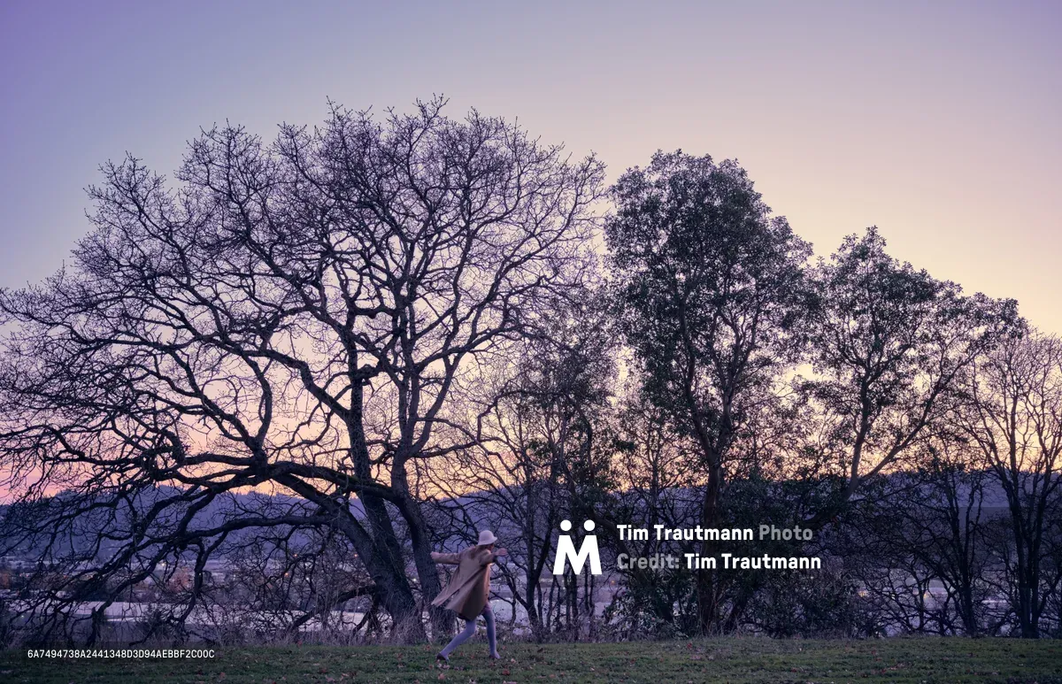 A lone woman in flowing clothing runs across an open field in North Portland's University Park neighborhood, silhouetted against a magnificent twilight sky painted in lavender and rose hues. Towering bare oak trees frame the scene with their intricate winter branches, creating a natural cathedral above the runner's graceful movement. The ethereal light captures the quiet anticipation of Oregon's rainy season, where these dormant giants await the coming precipitation.