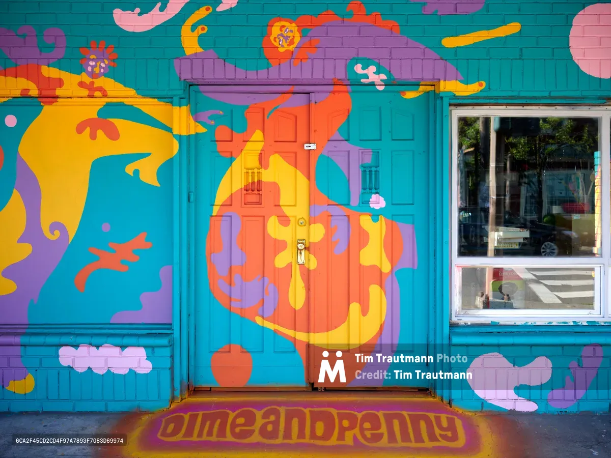 A vibrant street mural by artist Naomi Likayi transforms a turquoise building facade in Portland's Alberta neighborhood into a fantastical wonderland. Fluid organic shapes in coral, yellow, and purple dance across the wall, featuring playful cloud formations and flowing abstract elements that seem to melt and merge into one another. The psychedelic composition frames a central doorway and window, creating an immersive portal effect that invites passersby into this colorful urban dreamscape.