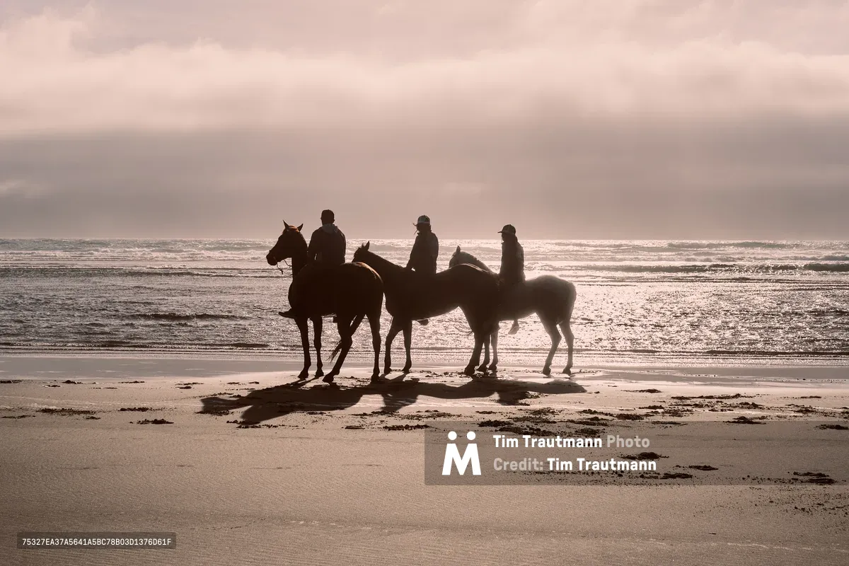 Three silhouetted equestrians pause on the sandy shores of Wheeler Beach along Oregon's rugged coastline, their horses casting long shadows in the ethereal twilight. The moody sky, painted in soft grays and muted tones, creates a dreamlike atmosphere as gentle waves reflect the fading light. Positioned against the infinite horizon of the Pacific Ocean, the riders appear as timeless figures in contemplation, embodying the serene solitude of Oregon's coastal wilderness.
