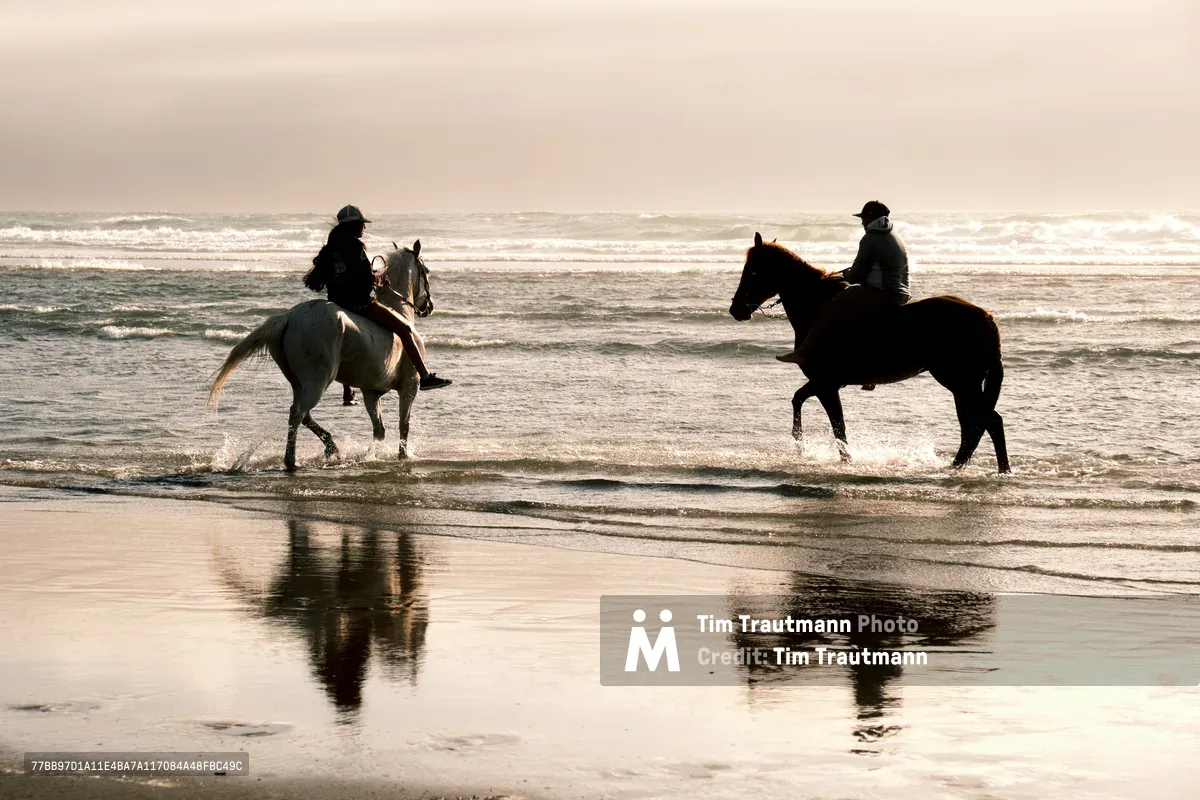 Two silhouetted riders on horseback traverse the pristine shoreline near Wheeler, Oregon, their mounts splashing through the shallow surf as gentle waves roll onto the sandy beach. The ethereal golden light of dawn bathes the scene in warm tones, creating perfect mirror reflections of both horses and riders in the wet sand. The atmospheric composition captures the timeless romance of equestrian beach riding along the rugged Pacific coastline.