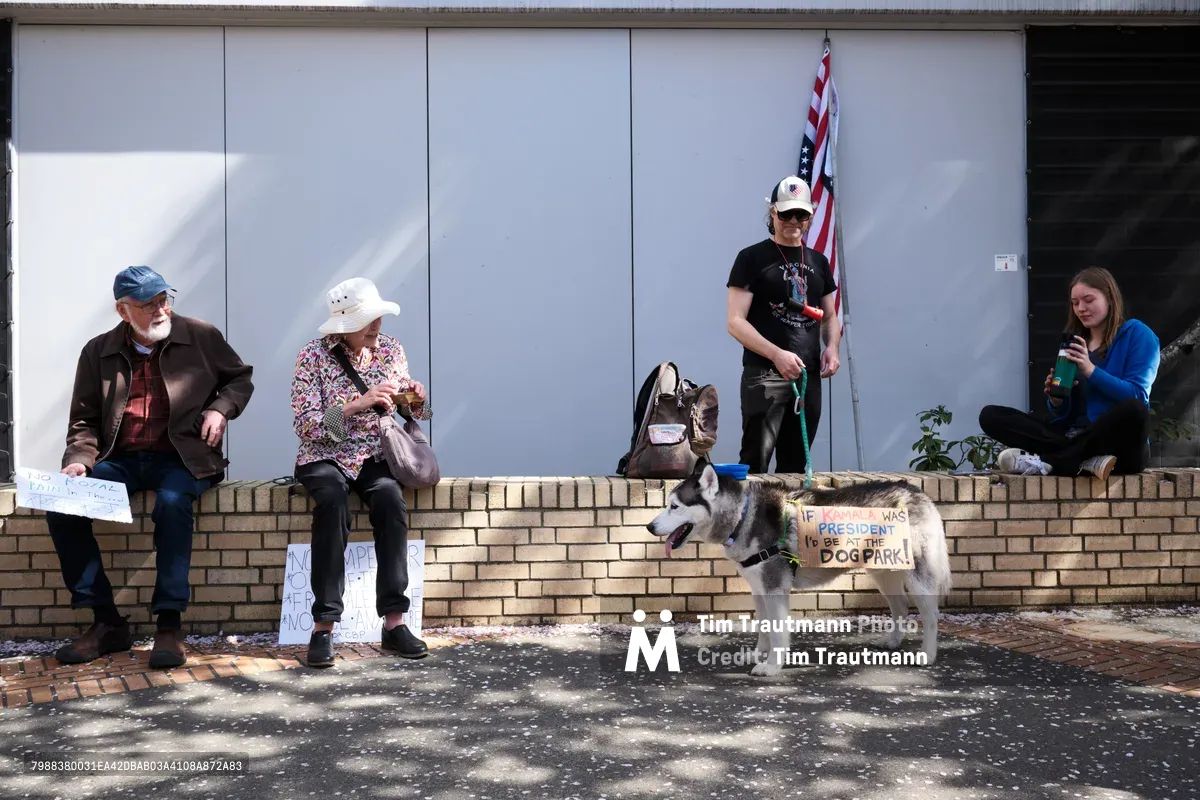 Four demonstrators gather on a brick-lined sidewalk in Portland's Lloyd District, their makeshift protest anchored by handwritten signs and an American flag. An elderly man in a blue cap sits beside a woman in a floral shirt, while a middle-aged protester stands with the flag and a husky wearing a protest sign. Dappled sunlight filters through overhead trees, casting gentle shadows across the scene as a young woman in blue observes from the right, creating an intimate portrait of grassroots civic engagement.