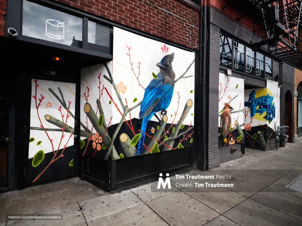 A striking Stellar's Jay mural adorns the boarded storefront of the former Tube Nightclub in Portland's Old Town district during the COVID-19 pandemic closure. The bright blue bird perches among stylized branches with coral-pink blossoms and geometric patterns, transforming the abandoned venue's windows into an unexpected canvas of urban wildlife art. Black metal fire escapes cast angular shadows above the brick facade, while the empty sidewalk below reflects the quiet desolation of a once-vibrant entertainment district.