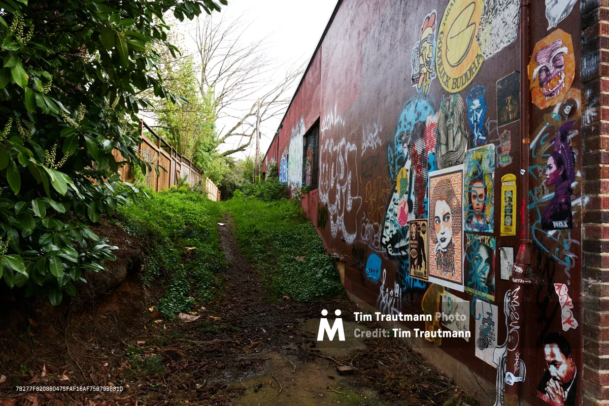 A verdant pathway winds between walls transformed into an explosion of street art in Portland's Concordia neighborhood. Lush ivy cascades down weathered brick while a kaleidoscope of stickers, murals, and graffiti creates a living gallery along Northeast Killingsworth Street. The overcast Pacific Northwest sky filters soft light through leafy branches, casting the intimate alley in contemplative shadows that highlight the raw creativity adorning every available surface.