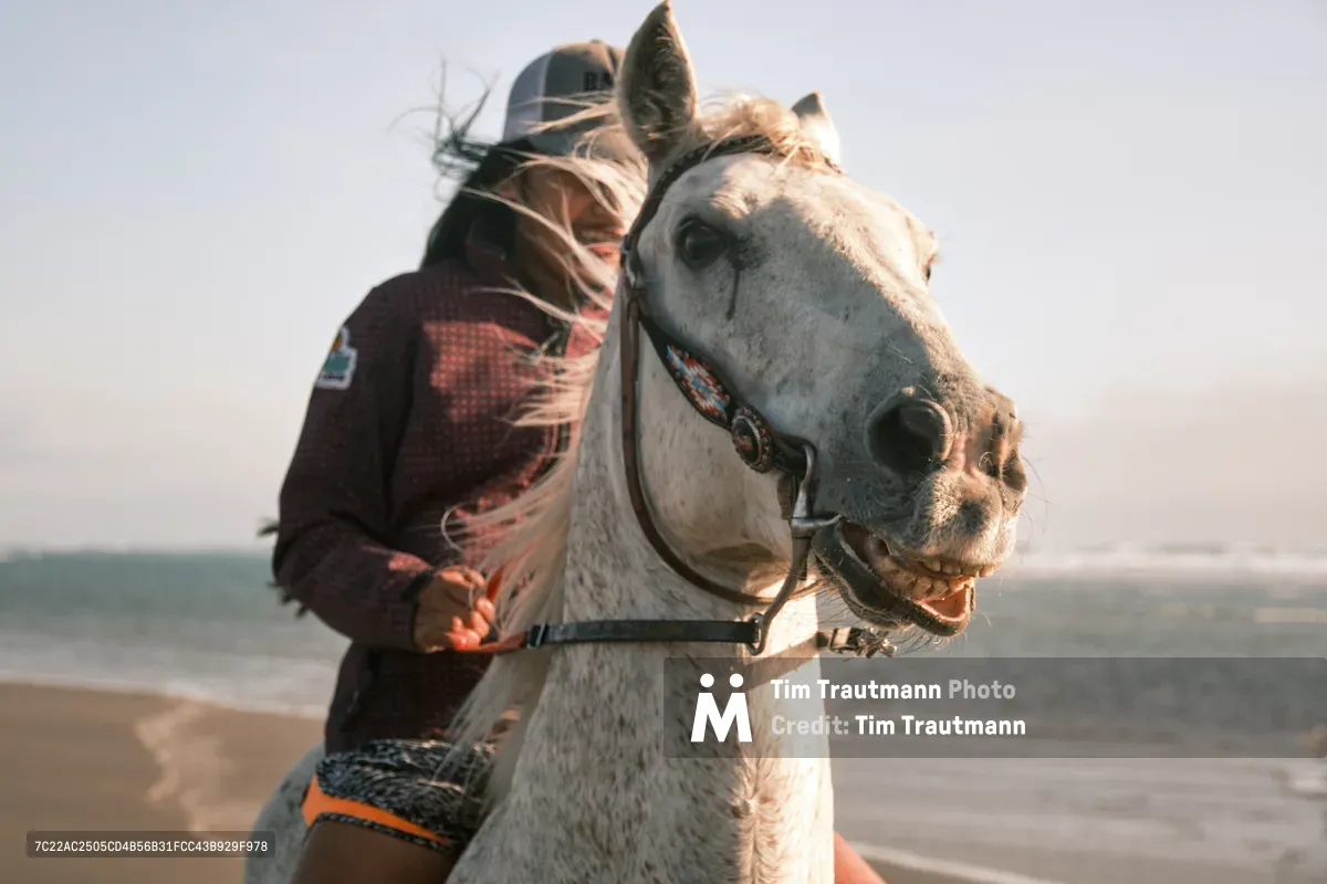 A rider shrouded in flowing fabric and traditional headwear sits astride a dappled gray horse along the windswept Oregon coast near Wheeler. The horse's mouth is open in apparent vocalization, its bridle decorated with colorful beadwork, while ocean waves blur softly in the background. Golden afternoon light illuminates the scene, creating an intimate portrait of the enduring bond between horse and rider against the dramatic Pacific shoreline.