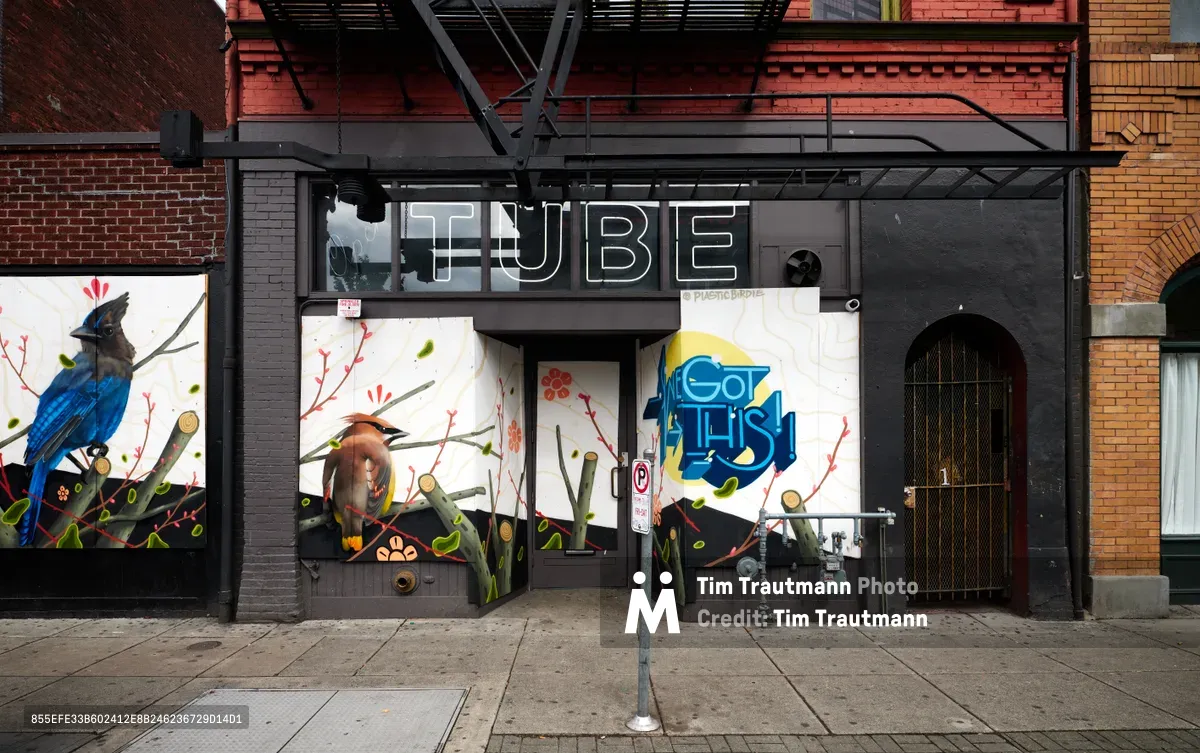 The storefront of Tube nightclub in Portland's Old Town district stands barricaded behind wooden boards adorned with vibrant street art featuring birds and botanical motifs. The establishment's bold white lettering contrasts against the dark facade, while fire escapes cast geometric shadows across the brick buildings above. This urban scene captures the cultural pause of nightlife venues during the COVID-19 lockdown period.