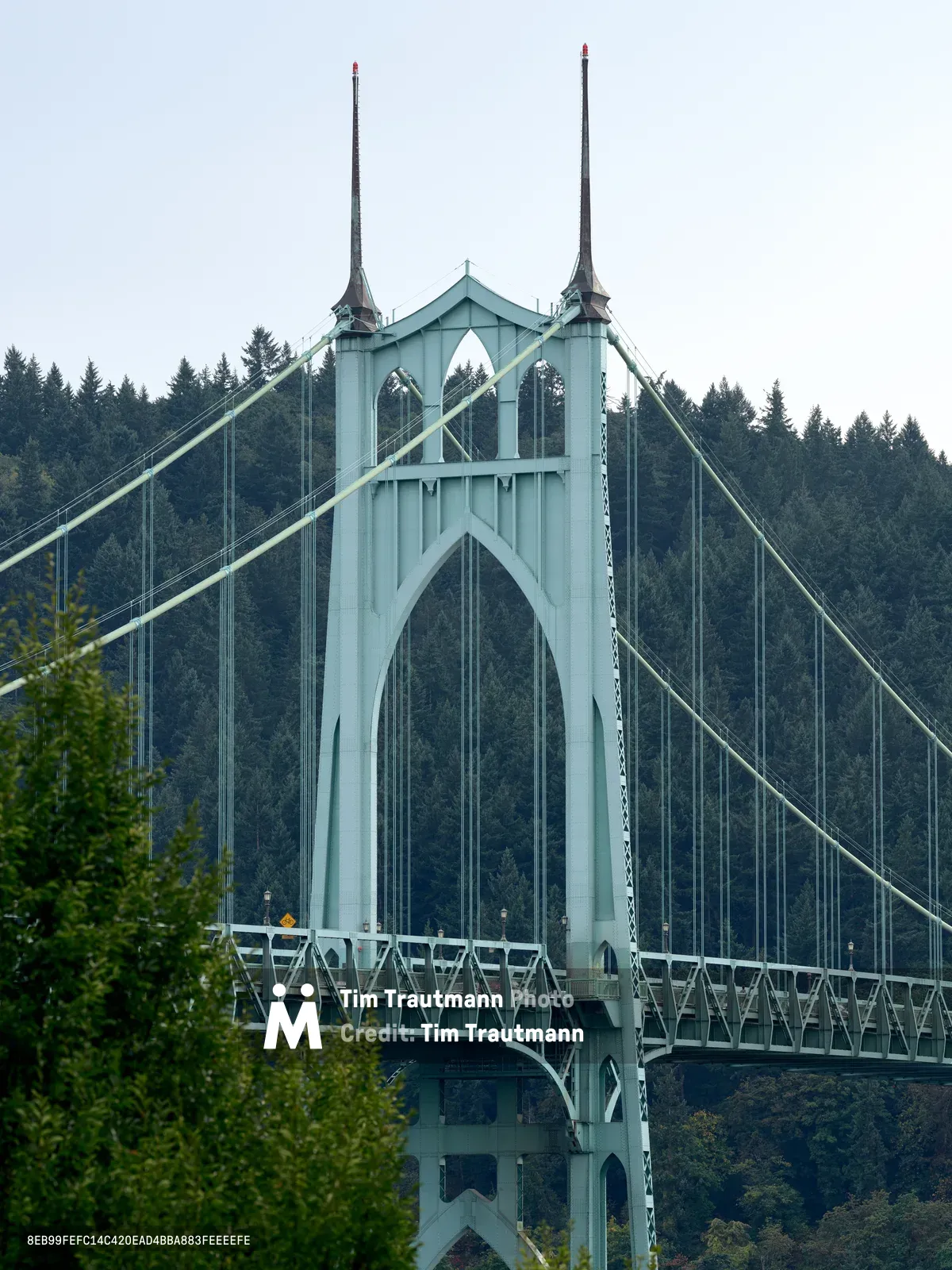 The iconic St. Johns Bridge rises majestically from the dense evergreen canopy of Portland's Forest Park, its distinctive Gothic Revival towers crowned with crimson-tipped spires piercing an overcast Pacific Northwest sky. The pale green suspension bridge creates a striking architectural contrast against the deep emerald forest below, while soft diffused light emphasizes the bridge's cathedral-like arches and Art Deco details. Lush vegetation frames the foreground, drawing the eye upward to where steel cables sweep gracefully between the towering concrete pylons.