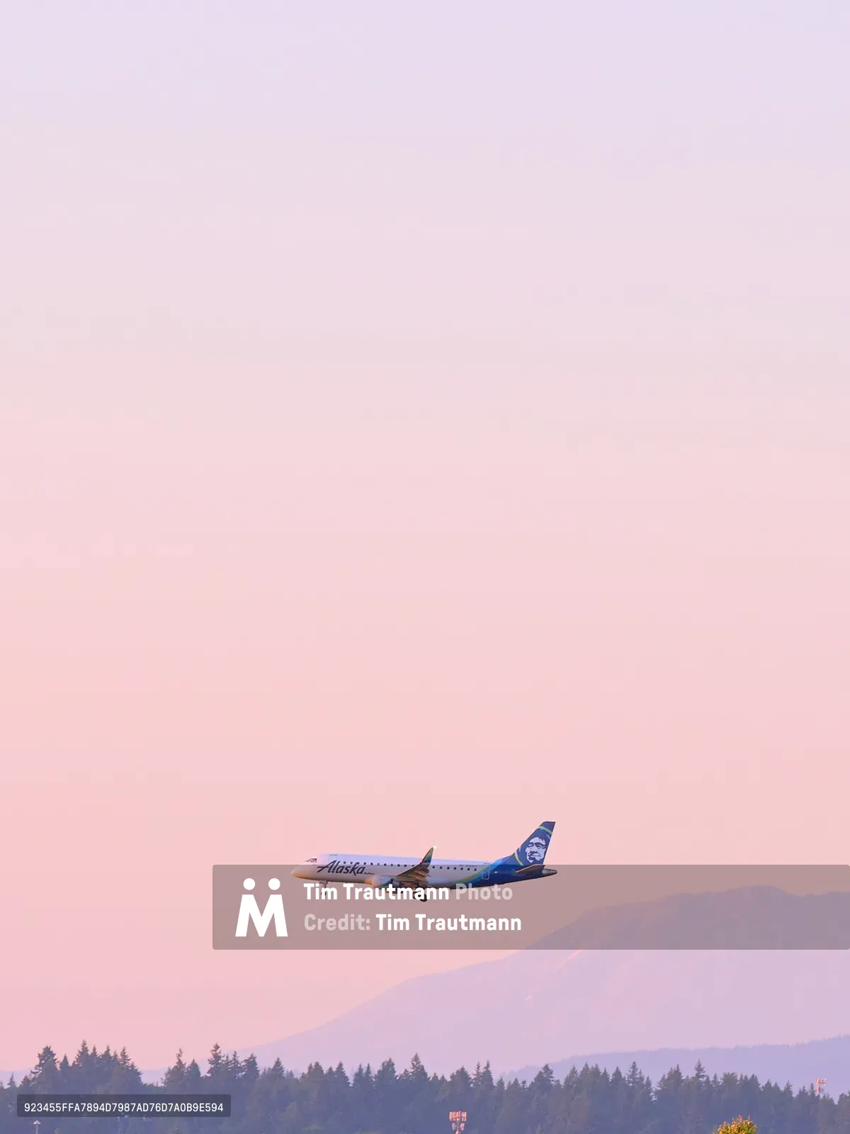 An Alaska Airlines Embraer E175 regional jet cuts through the ethereal lavender twilight sky as it approaches Portland International Airport from the east. The aircraft, operated by SkyWest, appears suspended against the soft pink and purple hues of dusk, with the dark silhouette of Mount Saint Helens rising majestically in the distant background. A dense line of evergreen trees forms the foreground boundary, their darkened forms creating a striking contrast against the pastel sky. The scene captures the serene moment of evening approach, where aviation meets the natural grandeur of the Pacific Northwest.