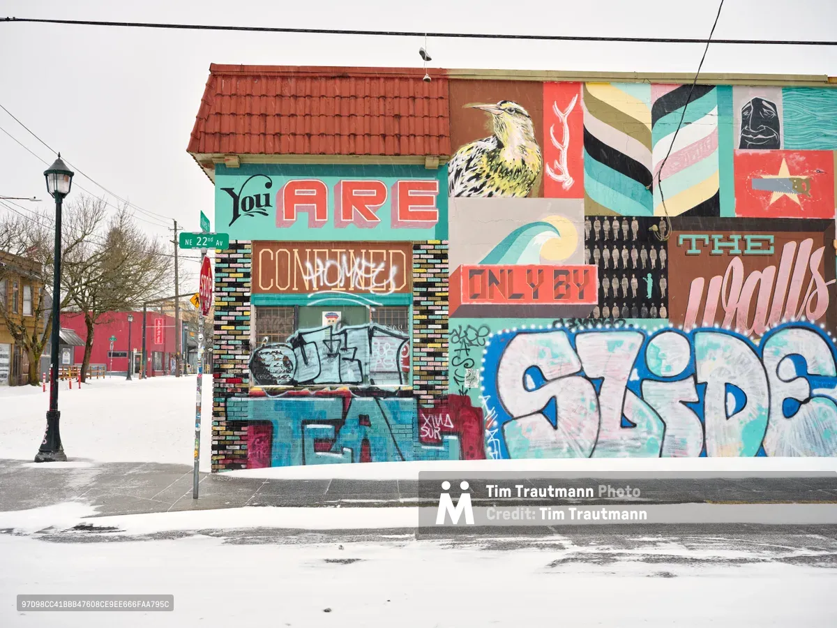 A vibrant community mural by Blaine Fontana dominates a brick building on Northeast Alberta Street in Portland's Alberta Arts District, its colorful proclamation "You ARE" anchoring a collage of street art elements including a majestic bird, geometric patterns, and layered graffiti tags. Fresh snow blankets the quiet sidewalk and street, creating a stark contrast against the warm reds of the clay tile roof and the explosion of turquoise, coral, and pink hues across the wall. The overcast winter sky and vintage street lamp complete this portrait of Portland's celebrated public art scene, where commissioned murals coexist with spontaneous street expression.