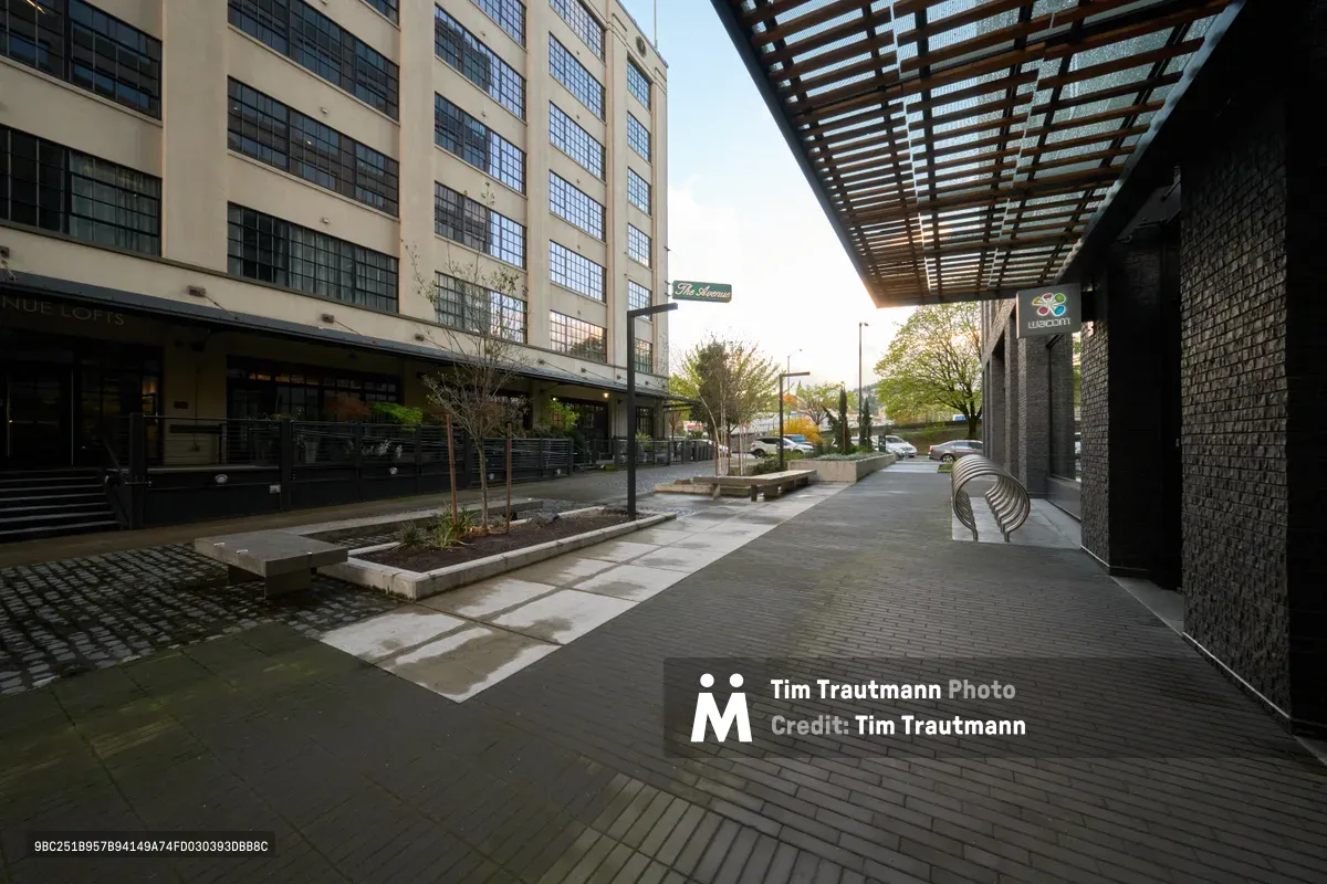 A contemporary pedestrian plaza unfolds between converted industrial buildings in Portland's Pearl District, where geometric brick pavers create flowing pathways beneath a striking steel pergola. The late afternoon light filters through the overhead canopy, casting rhythmic shadows across planters filled with young saplings and modern concrete benches. The juxtaposition of weathered warehouse facades with their grid of steel-framed windows against sleek modern amenities captures the neighborhood's transformation from industrial past to urban living.