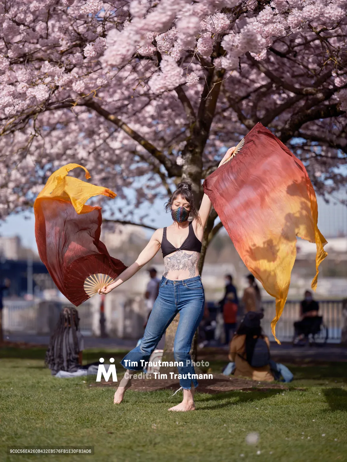 A masked performer dances gracefully with flowing orange and red silk scarves beneath the peak bloom of cherry blossoms at Tom McCall Waterfront Park. The dancer, wearing a black top and jeans, moves barefoot on the grass while park visitors relax in the background under the canopy of pink sakura petals. Golden hour light filters through the blossoms, creating a dreamy atmosphere that captures the ephemeral beauty of Portland's spring season.