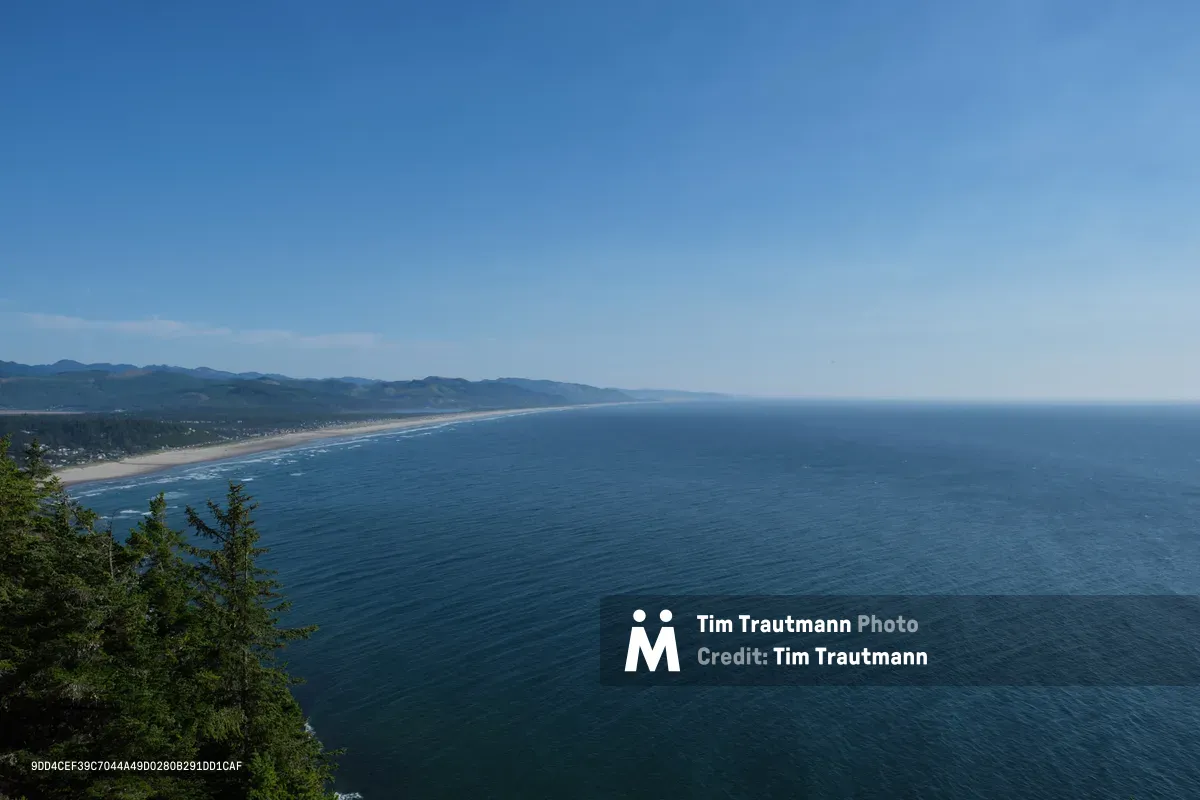 A breathtaking panoramic view unfolds from an elevated vantage point along the Oregon Coast Highway in Tillamook County, where sapphire waters meet an endless ribbon of golden sand. The pristine coastline curves gracefully into the distance, framed by forested hills that roll toward the Pacific horizon. Clear azure skies stretch overhead while gentle waves create delicate white foam patterns along the shore, and evergreen trees in the foreground provide natural framing for this quintessential Oregon coastal scene.