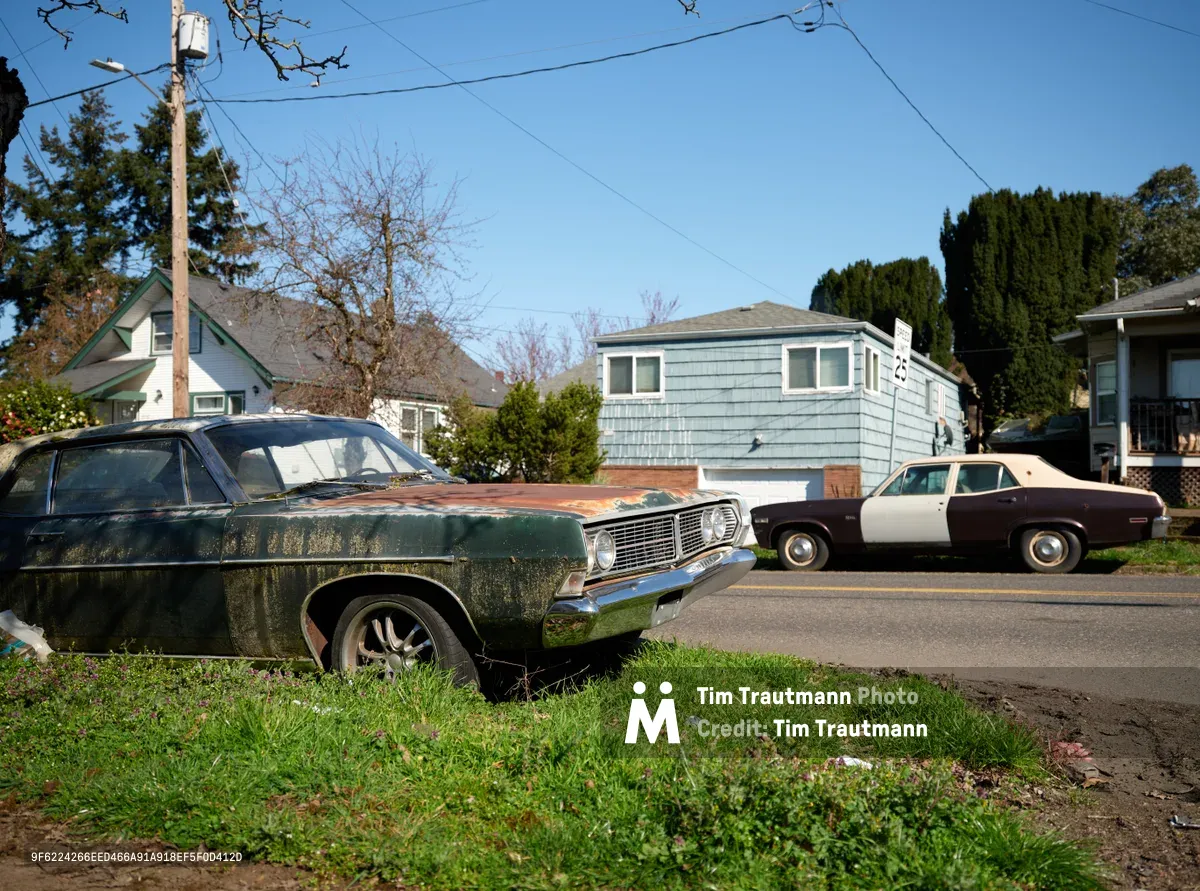 Two weathered American muscle cars rest in different states of decay along Northeast 15th Avenue near Killingsworth Street in Portland's Northeast district. The foreground reveals a moss-covered classic with chrome grille gleaming despite years of neglect, while a cream and burgundy sedan sits parked across the yellow-striped street. Modest residential homes with green trim and blue siding frame the scene under crisp winter light, their manicured evergreens contrasting sharply with the automotive relics slowly returning to earth.