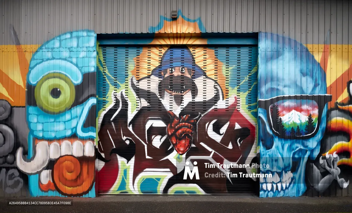 A vibrant commissioned mural sprawls across corrugated metal siding in Portland's Central Eastside district, featuring surreal imagery of skulls with glowing eyes, anatomical hearts, and abstract lettering. The artwork combines electric blues, fiery oranges, and deep purples in a complex composition that transforms an industrial wall into a canvas of urban expression. Crisp daylight illuminates the intricate details and bold color contrasts of this Portland Street Art Alliance commission.