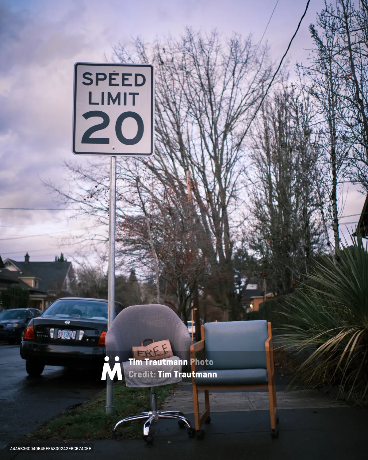 Two mismatched chairs sit abandoned on the sidewalk beside a speed limit sign in Portland's Sabin neighborhood, one bearing a handwritten "FREE" sign. The twilight sky casts a purple hue over the residential street scene, where bare winter trees frame modest homes and a dark sedan. The juxtaposition of the discarded furniture creates an unexpectedly poignant tableau of urban companionship.