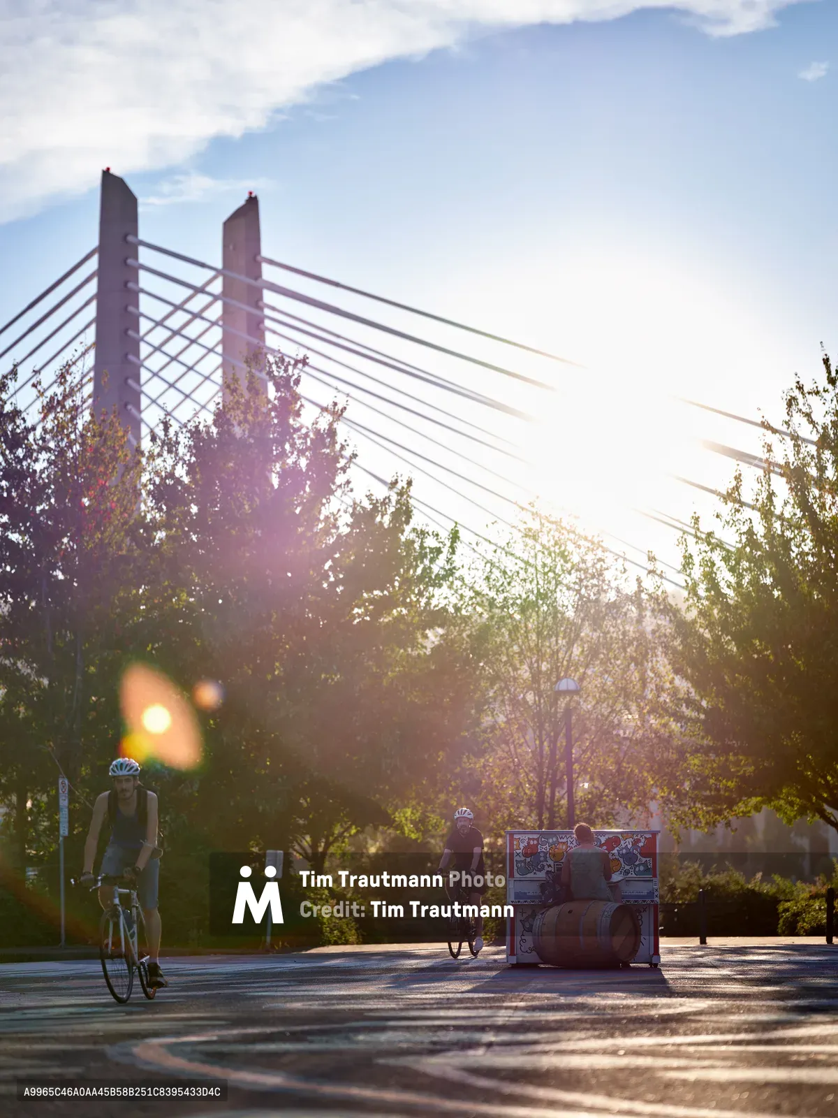 A solitary figure sits at a decorated upright piano on a tree-lined path beneath Portland's Tilikum Crossing bridge, bathed in warm golden hour sunlight. Cyclists with helmets pass by on either side, creating a dynamic scene of urban community art meeting daily commuter life. The cable-stayed bridge's geometric lines cut dramatically across a soft blue sky dotted with white clouds, while lens flares and dappled light filtering through mature trees create an ethereal atmosphere around this public piano installation.