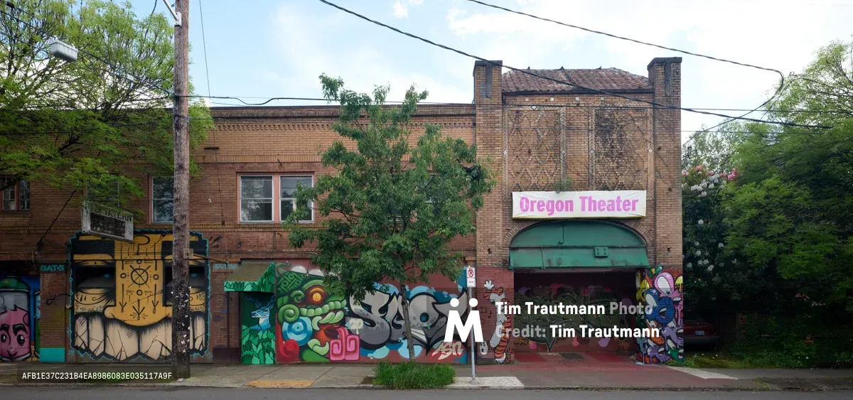 Vibrant murals transform the weathered brick facade of the former Oregon Theater on Southeast Division Street in Portland's Richmond neighborhood. The eclectic street art sprawls across the building's lower walls, featuring colorful graffiti-style pieces with skulls, abstract designs, and bold lettering that breathe new life into this cultural landmark. Overhead power lines crisscross against a soft overcast sky, while mature trees frame the scene, creating an authentic portrait of Portland's thriving street art culture.