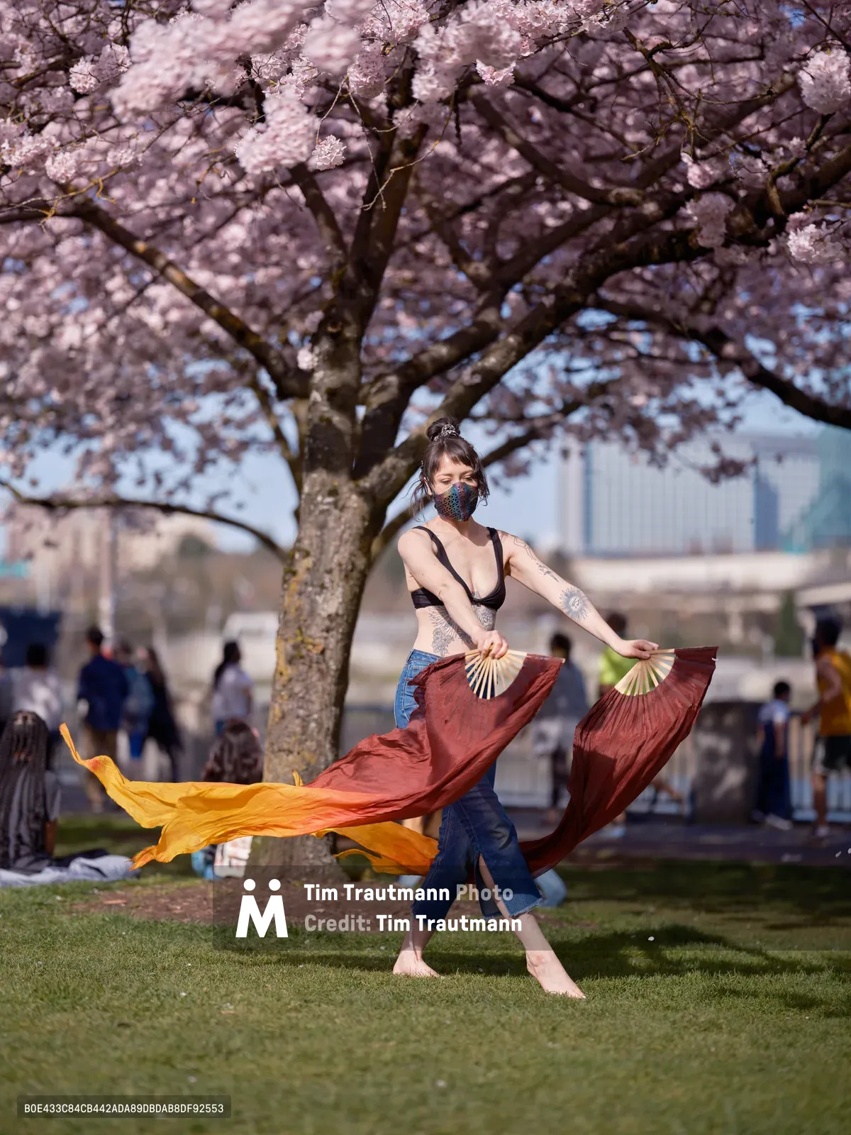 A masked performer dances barefoot on emerald grass beneath the ethereal canopy of cherry blossoms at Tom McCall Waterfront Park in Portland's Old Town. The dancer's flowing silk fans catch the golden sunlight as they billow in shades of burgundy and amber, creating a mesmerizing display of movement against the delicate pink sakura blooms. Urban park visitors gather in the soft-focused background, while the cityscape beyond frames this moment where art meets nature in Portland's historic district.
