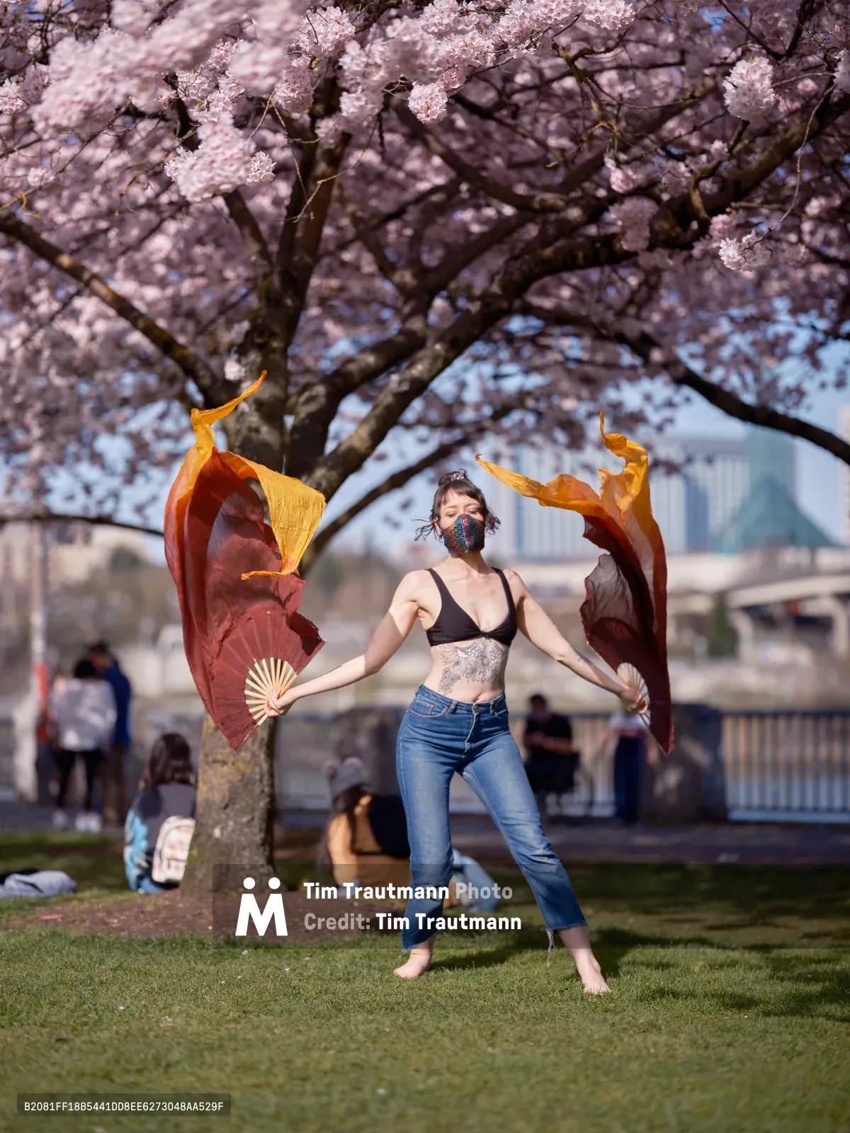 A masked performer executes an expressive dance with flowing silk fans beneath the blush-pink canopy of cherry blossoms at Tom McCall Waterfront Park. The dancer, barefoot on emerald grass, creates dynamic movement with burgundy and golden silk that mirrors the delicate petals overhead. Dappled sunlight filters through the flowering branches, casting gentle shadows while distant park visitors create a soft backdrop of urban spring leisure in Portland's historic Old Town district.