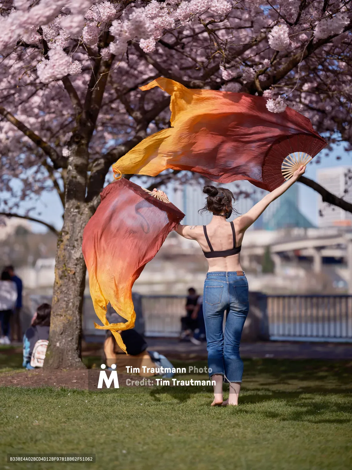 A woman in denim and a black sports bra gracefully waves flowing silk fans in gradient hues of amber and crimson beneath the delicate pink canopy of cherry blossoms at Tom McCall Waterfront Park. The dramatic fabric catches light as it billows against the soft focus of spring blooms, creating a striking juxtaposition of movement and seasonal serenity. Other park visitors rest quietly in the background, framing this moment of artistic expression during Portland's celebrated cherry blossom season.