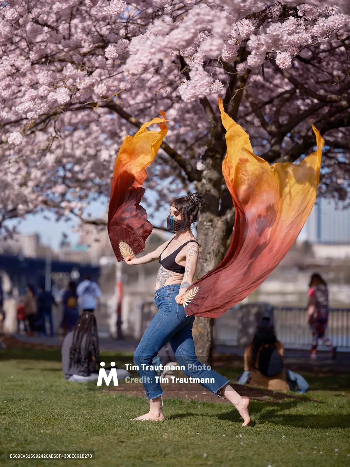A masked performer gracefully moves with flowing silk scarves in vibrant sunset hues of orange and crimson beneath the full canopy of blooming cherry trees at Tom McCall Waterfront Park. The delicate pink blossoms create a dreamlike backdrop as scattered visitors enjoy the seasonal display on the grass behind her. The dancer's fluid motion captures the ephemeral beauty of Portland's spring cherry blossom season in this urban riverside setting.