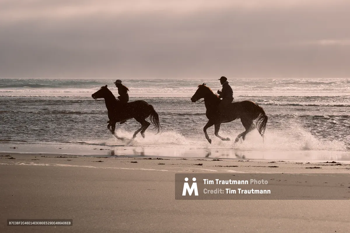 Two equestrians charge through the surf at Wheeler Beach on Oregon's rugged coast, their silhouettes rendered dramatic against a pearl-toned sky heavy with Pacific storm clouds. Salt spray erupts from beneath galloping hooves as the horses navigate the wet sand where ocean meets shore. The moody seascape captures the raw power of both mount and rider in perfect harmony with the untamed coastal wilderness of Tillamook County.