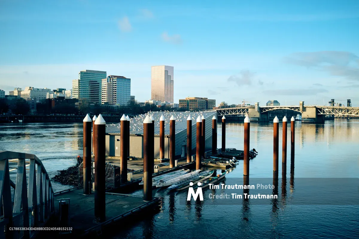 The afternoon light bathes Portland's Central Eastside marina in golden hues, where weathered wooden pilings stand sentinel in the calm waters of the Willamette River. A floating dock extends into the mirror-like surface, reflecting the skyline of glass towers and the iconic Morrison Bridge. The serene waterfront scene captures the peaceful riverside atmosphere, with wispy clouds drifting across the pale blue sky above Oregon's largest city.