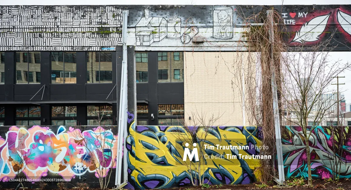 A kaleidoscope of commissioned street art transforms a former industrial site in Portland's Hosford-Abernethy neighborhood. Bold yellow wildstyle lettering dominates the center of the composition, flanked by flowing pink and blue abstract forms that cascade across weathered concrete barriers. The murals, created through the Portland Street Art Alliance, breathe new life into the urban landscape where bare winter branches frame the colorful rebellion against industrial monotony.