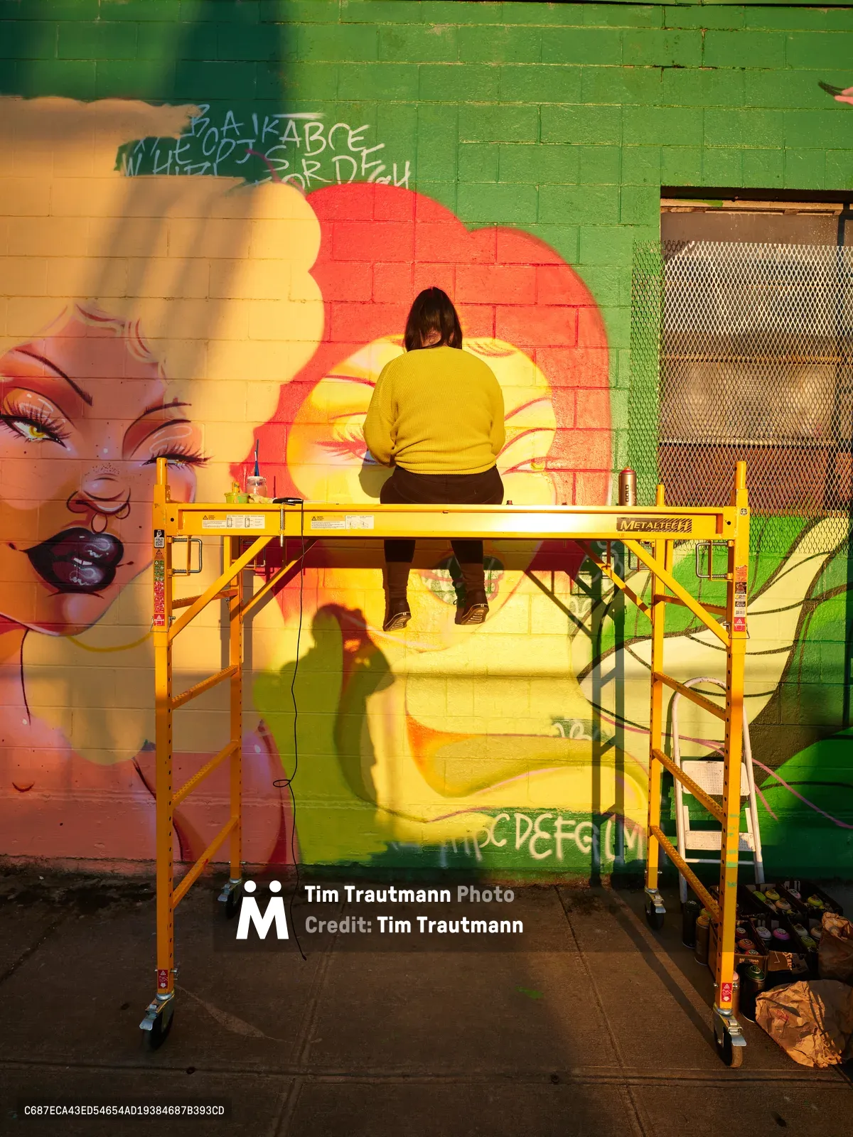 Multidisciplinary artist Vilatose stands on yellow scaffolding, painting the radiant mural 'Jardín Cubana' featuring three female figures on Alberta Street in Portland's arts district. The warm golden light bathes the scene as the artist works in a bright yellow sweater, adding finishing touches to the colorful pop art piece that transforms the urban brick wall. Paint supplies and brushes are scattered on the scaffolding platform below, while the vivid oranges, pinks, and greens of the artwork create a striking contrast against the emerald brick facade.